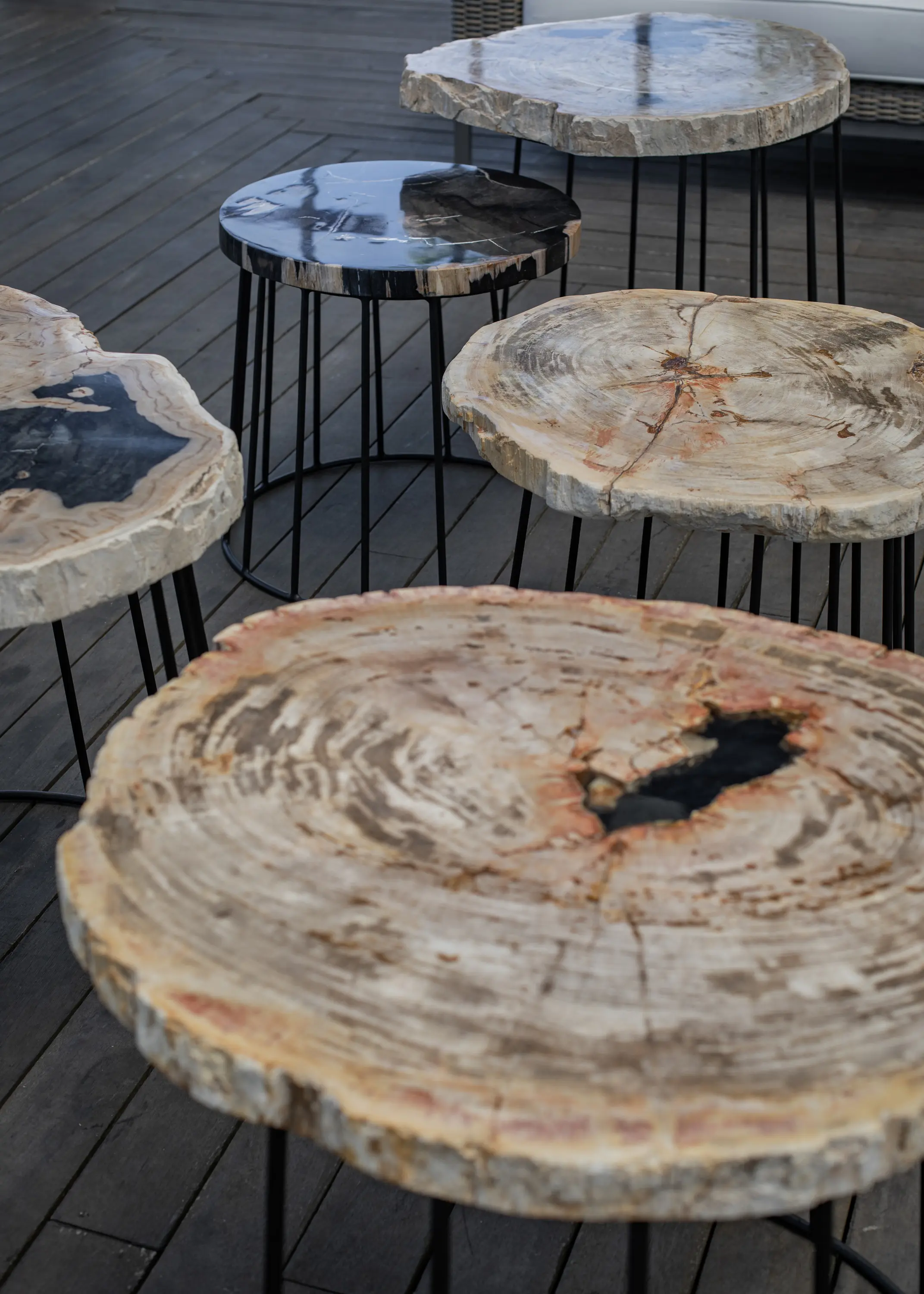 cbdesign - Thea Petrified Round Coffee Table S/2
