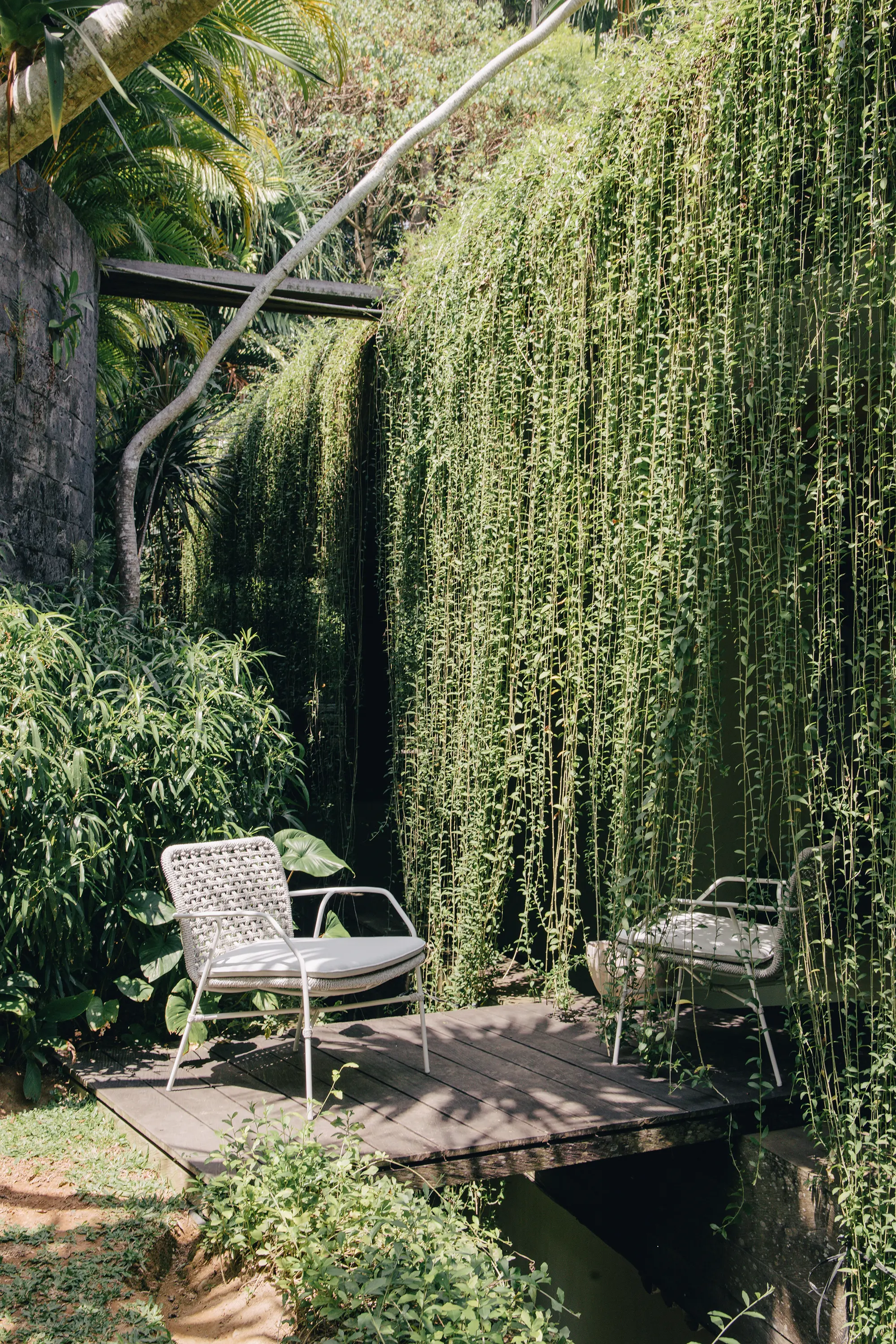 cbdesign - Grace Lounge Chair Low Back