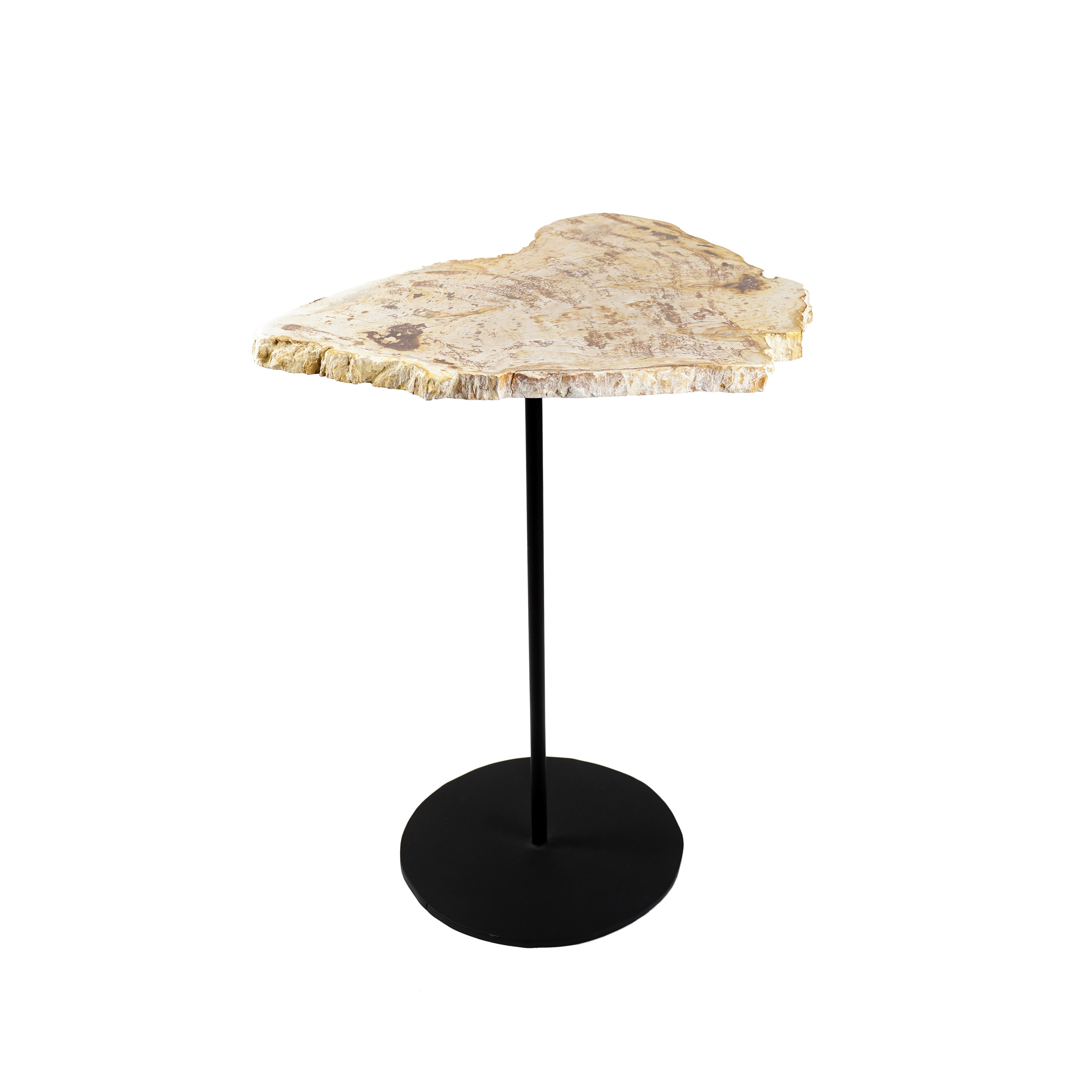 Mostra il prodotto Petrified Pole Table D 50 del produttore cbdesign
