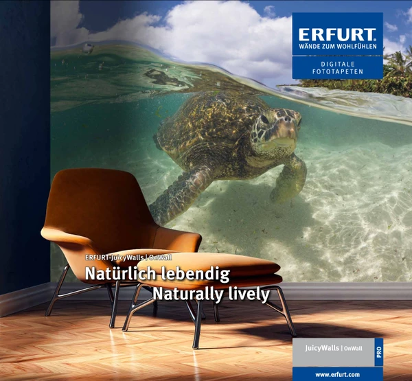Preview image for the file Erfurt JuicyWalls