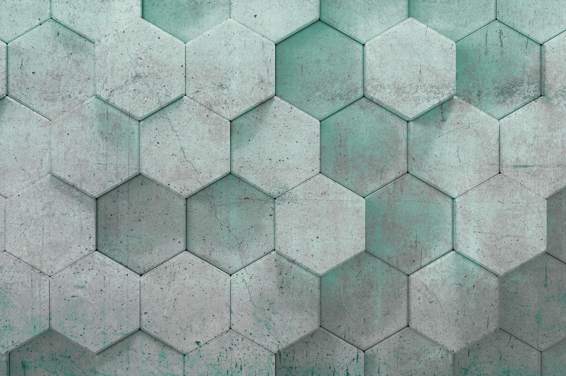 ERFURT - JuicyWalls | BASIC
