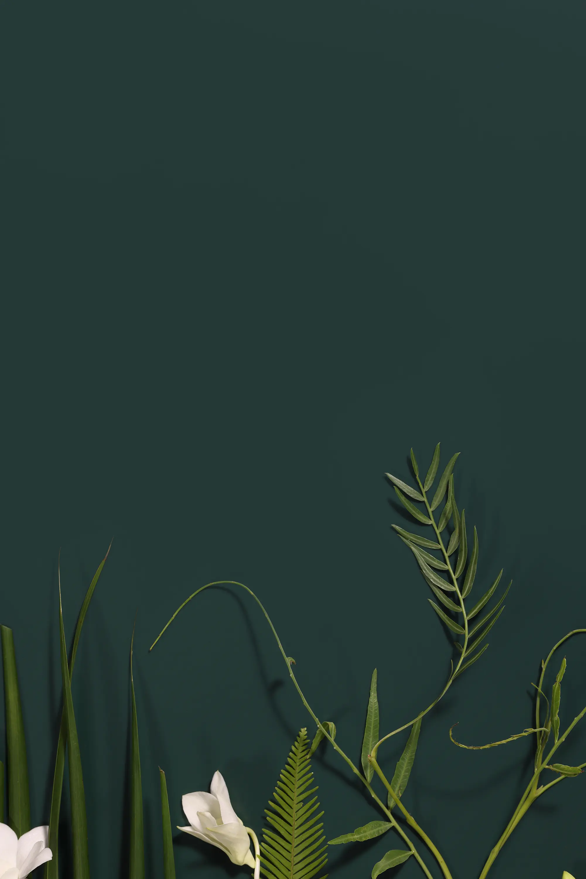 Staron® - Solid Forest