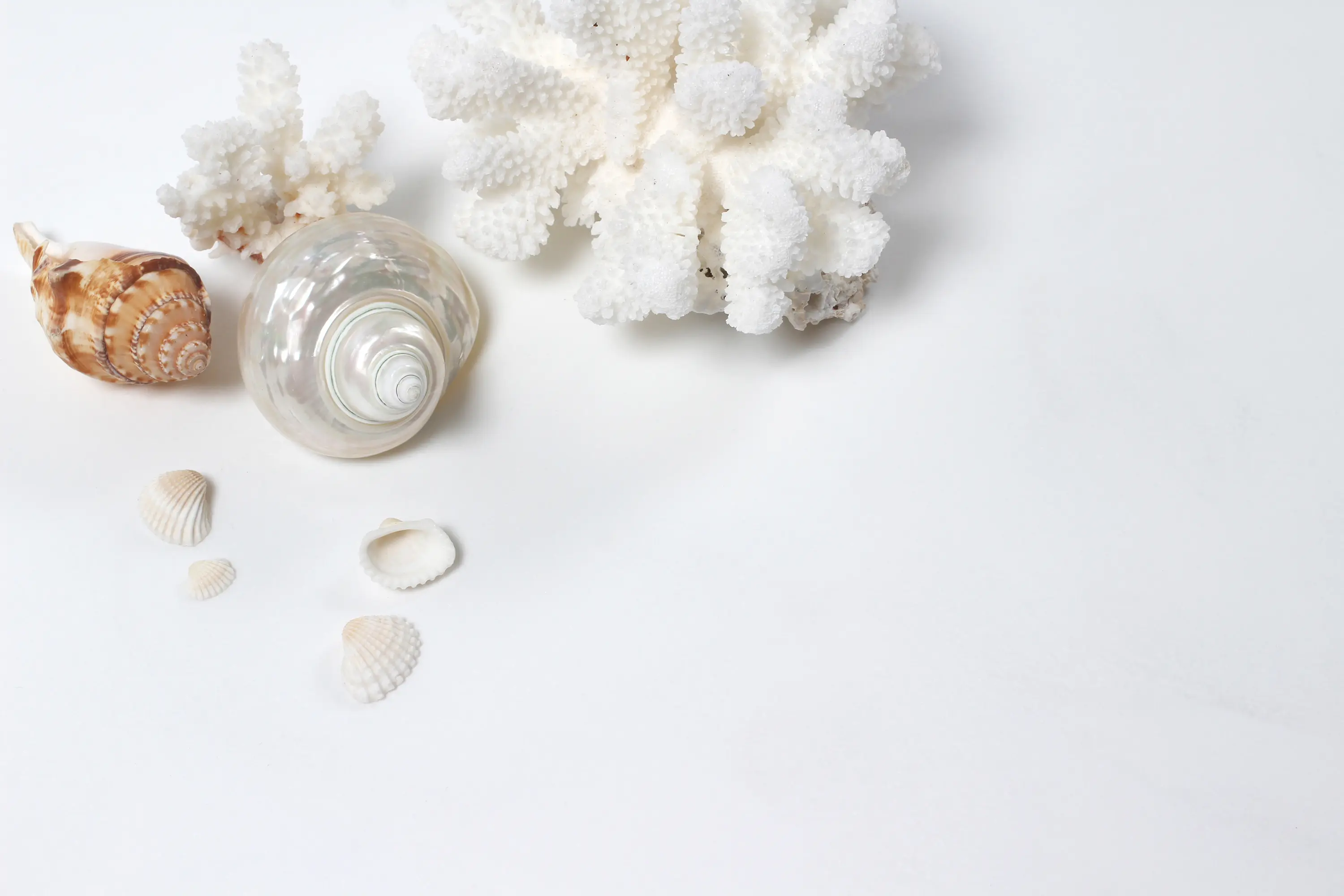 Staron® - Supreme Delphi