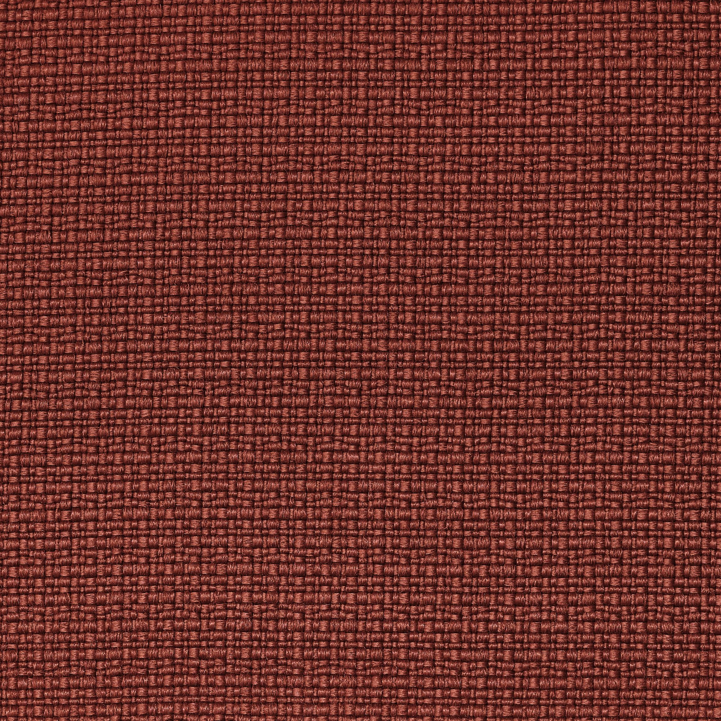 REVIVA | Iris 304 light orange