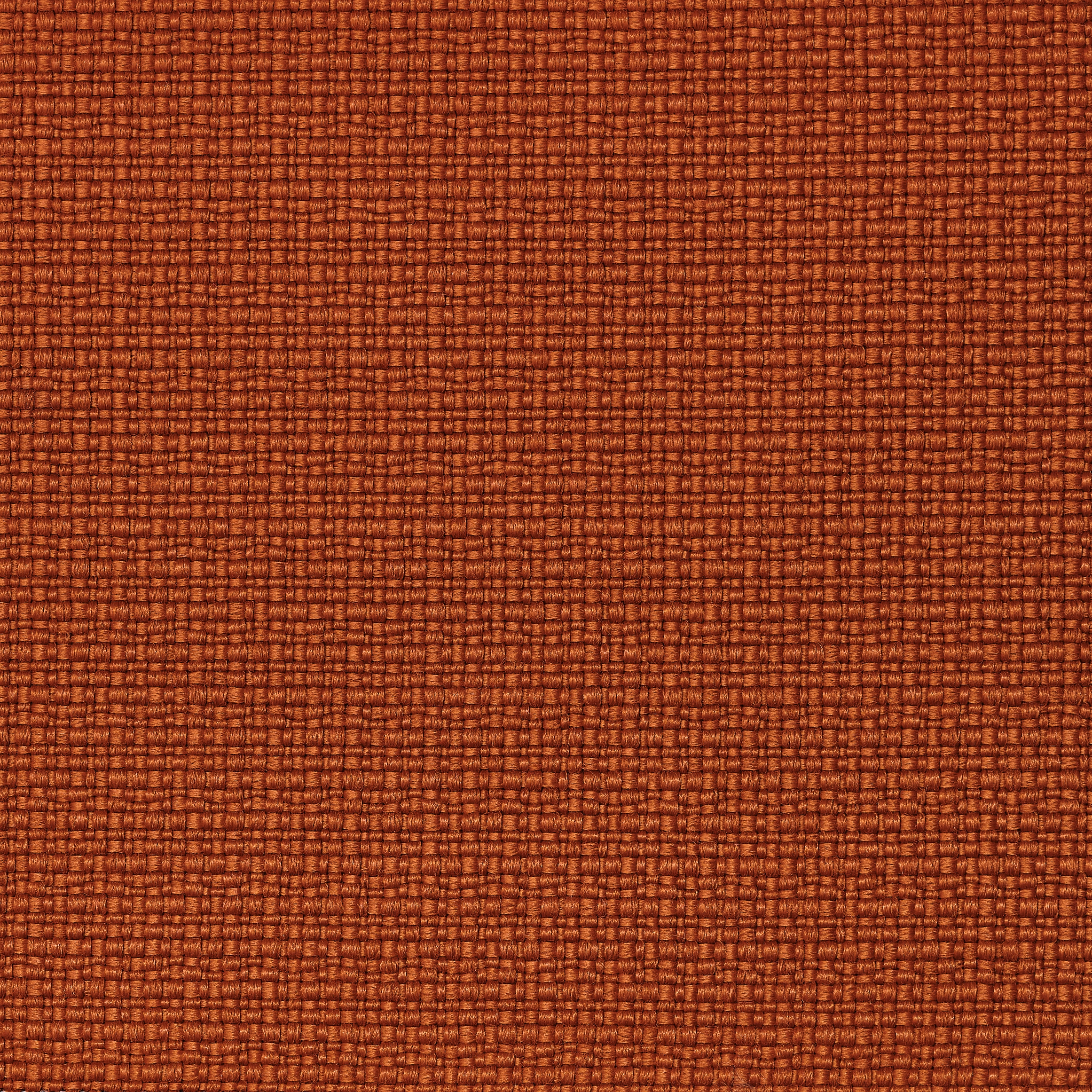 REVIVA | Iris 307 orange