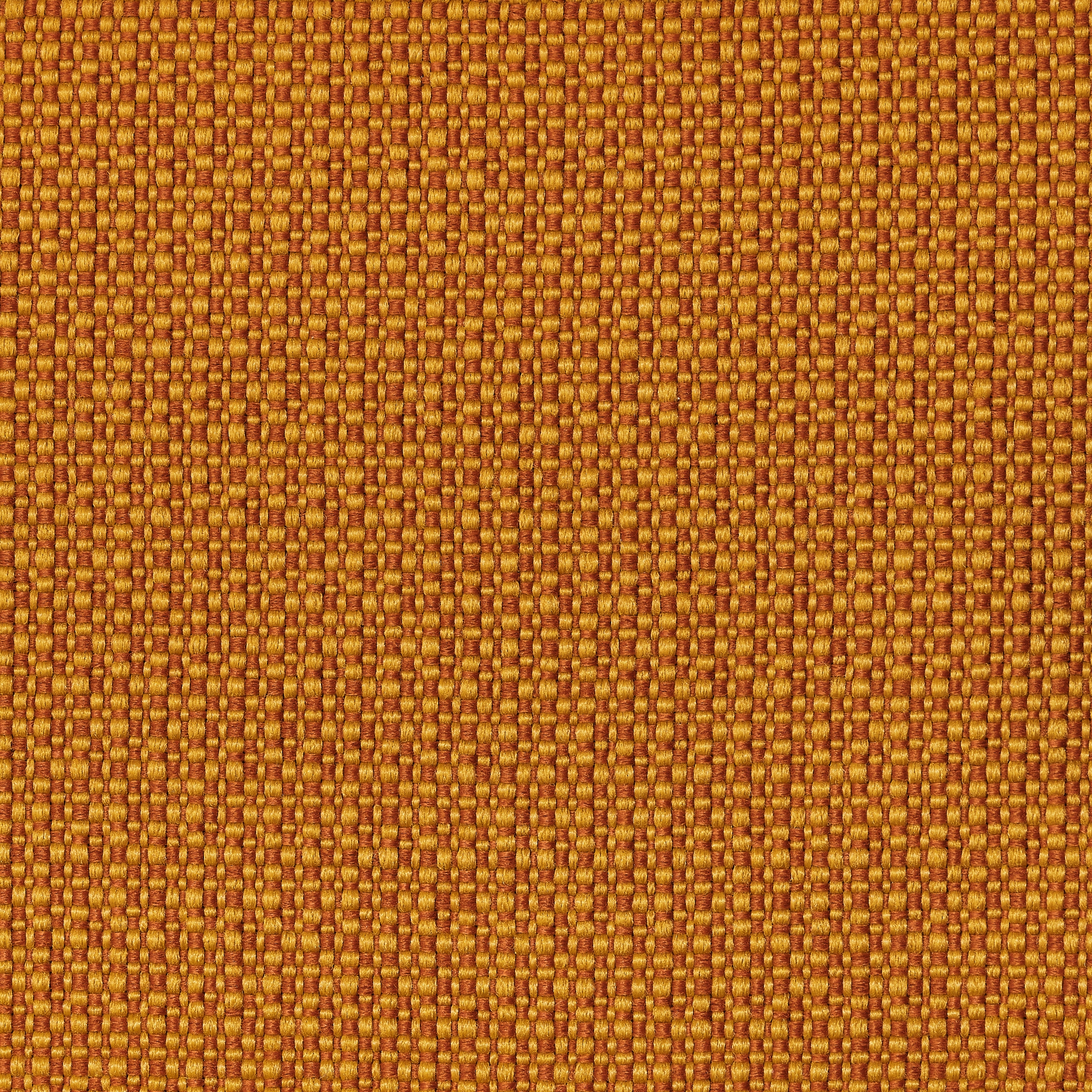 REVIVA | Iris 308 yellow - orange