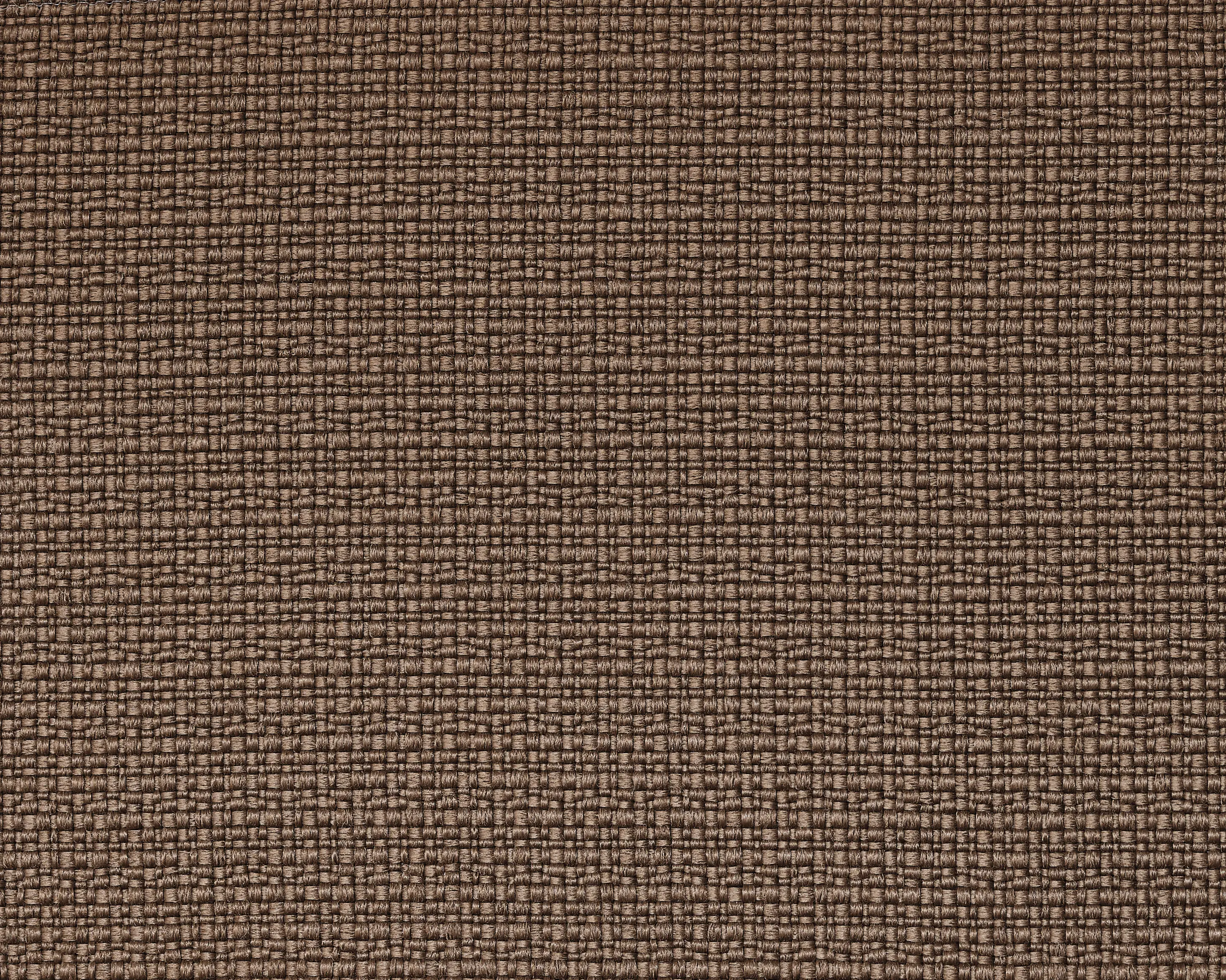 Rada - REVIVA | Iris 402 mud