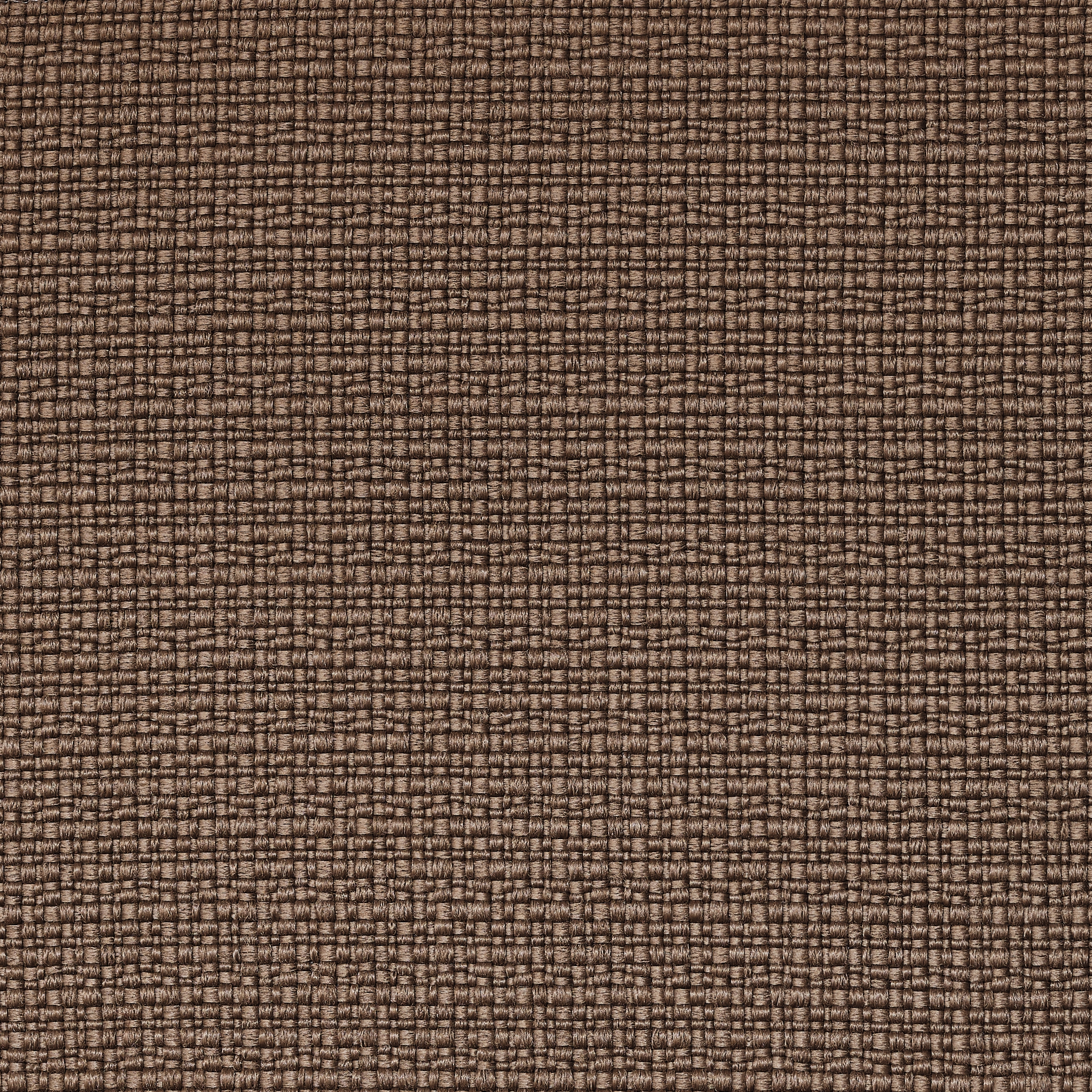 REVIVA | Iris 402 mud