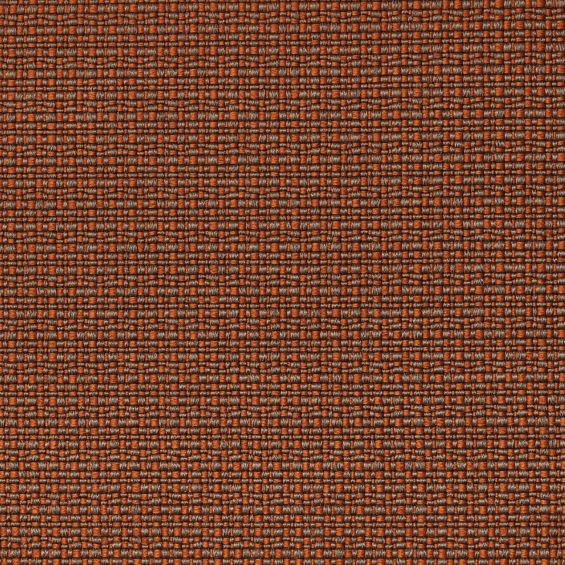 REVIVA | Iris 404 orange - mud