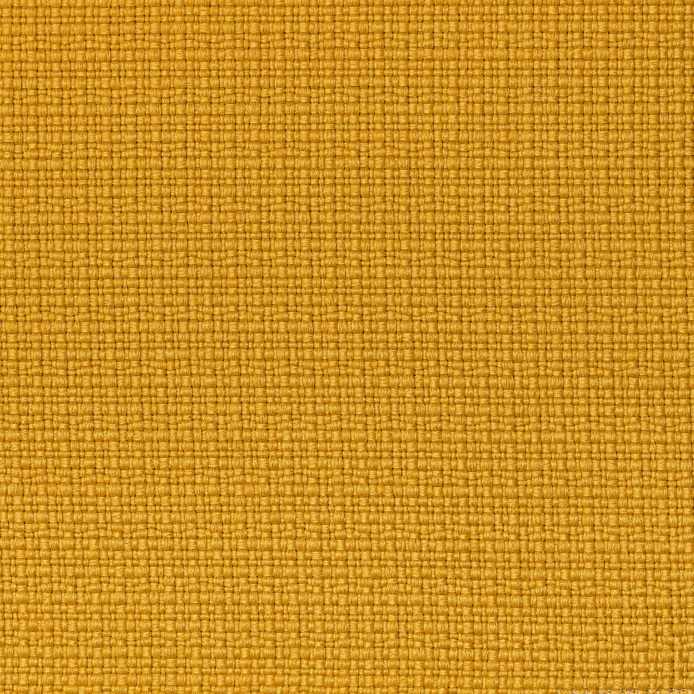 REVIVA | Iris 501 yellow