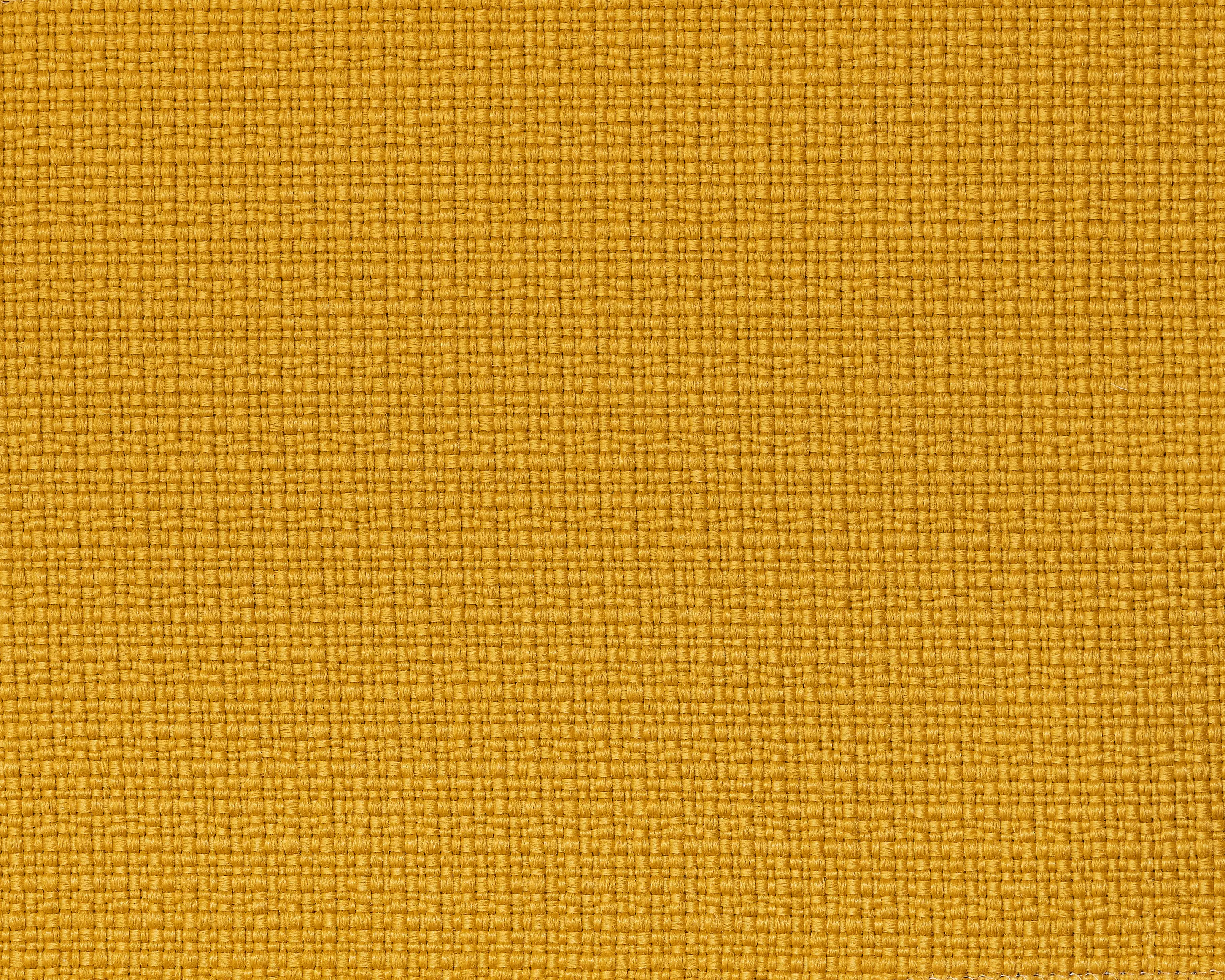 Rada - REVIVA | Iris 501 yellow