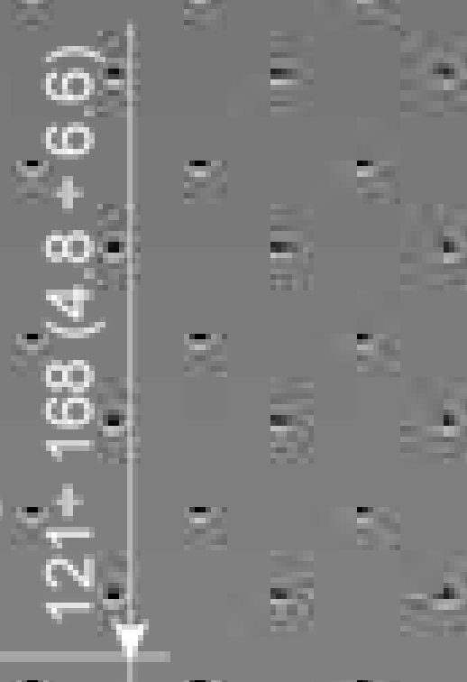 Thumbnail for image 12