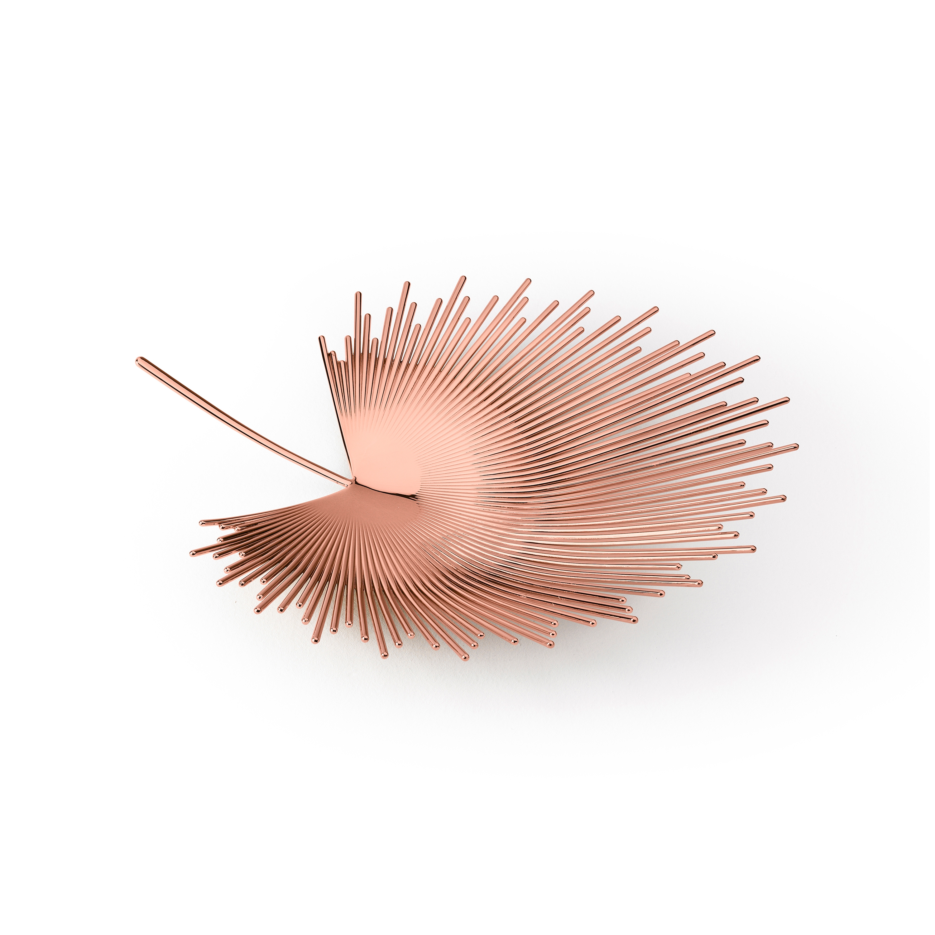 Florida Bowl