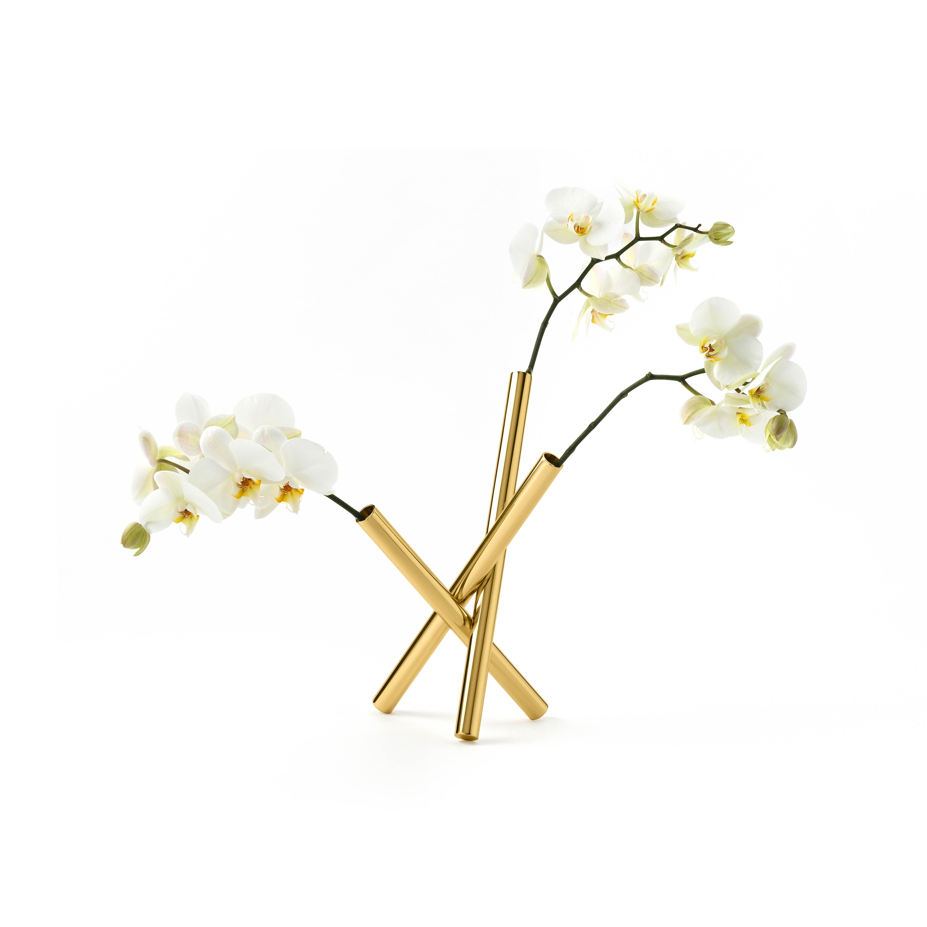 Mostra il prodotto Sticks Flower Pot del produttore Ghidini1961