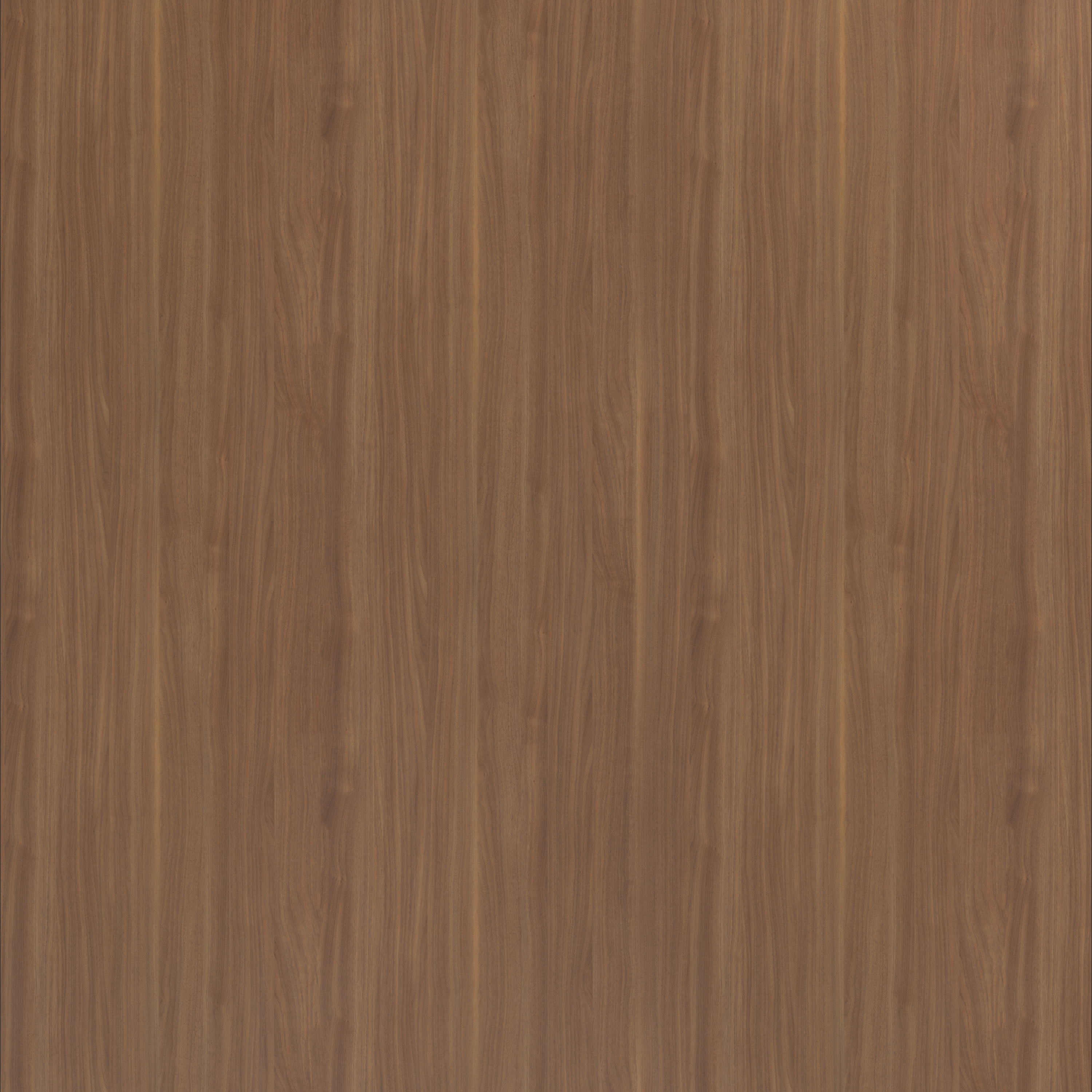 Aneto Walnut