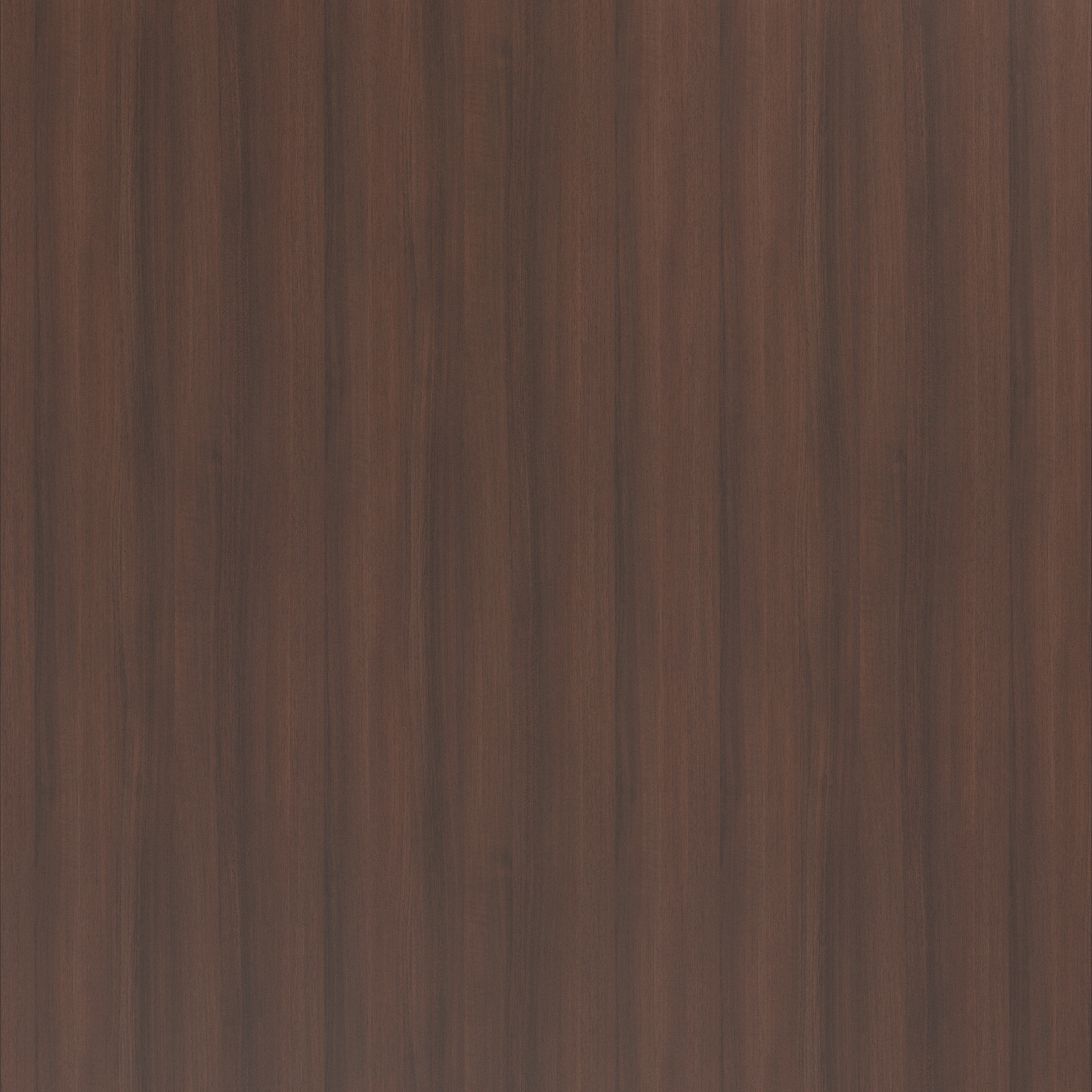 Arabica Walnut