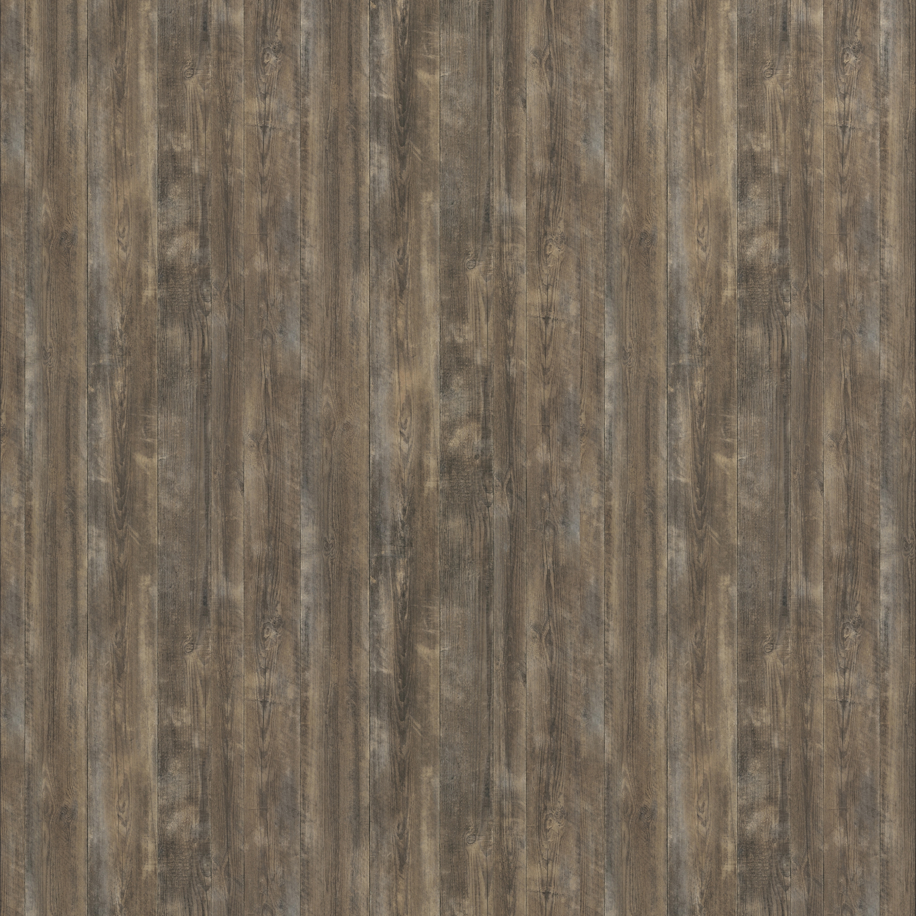 Barnwood bark brown