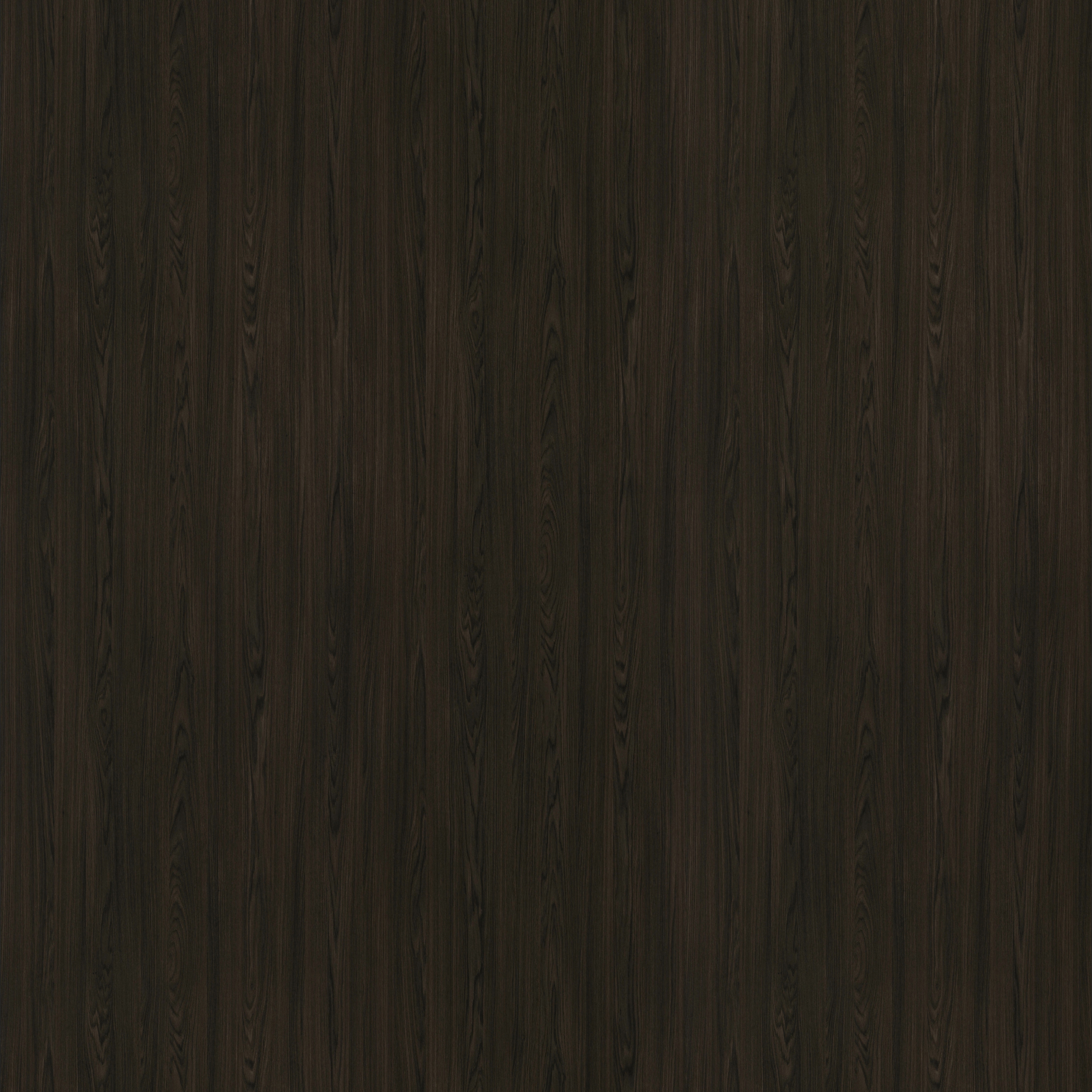 Dainty Oak café noir