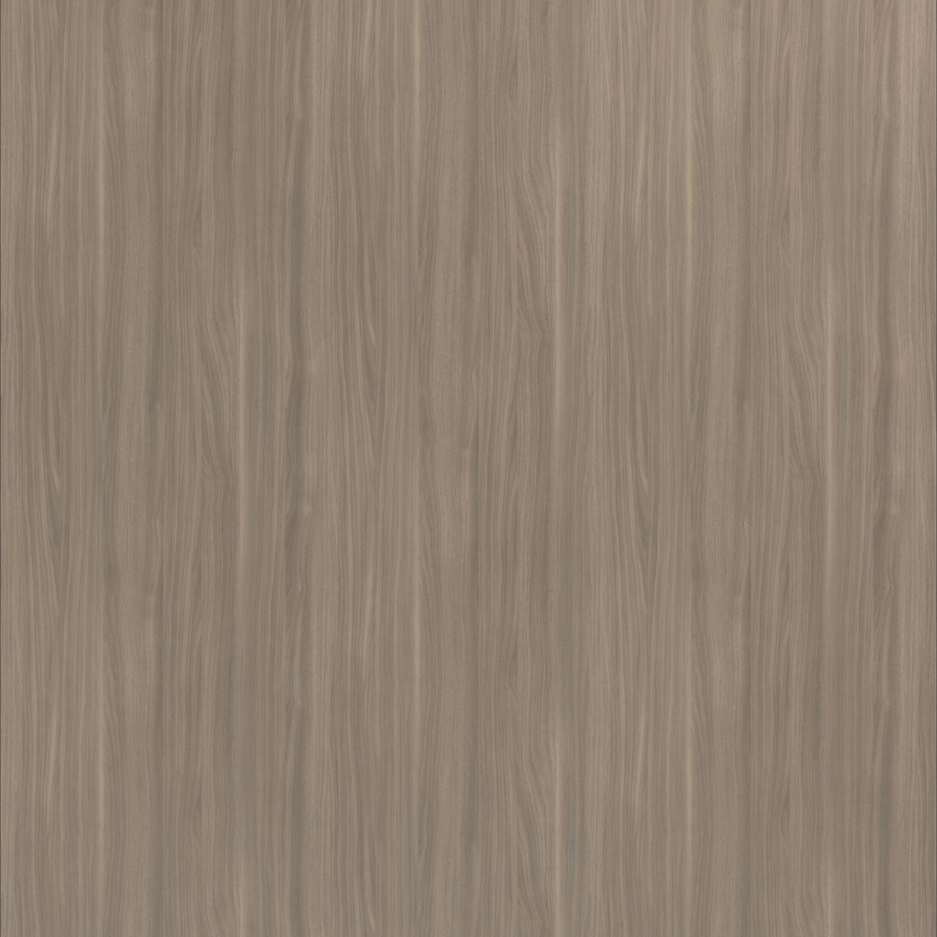 Dinara Walnut