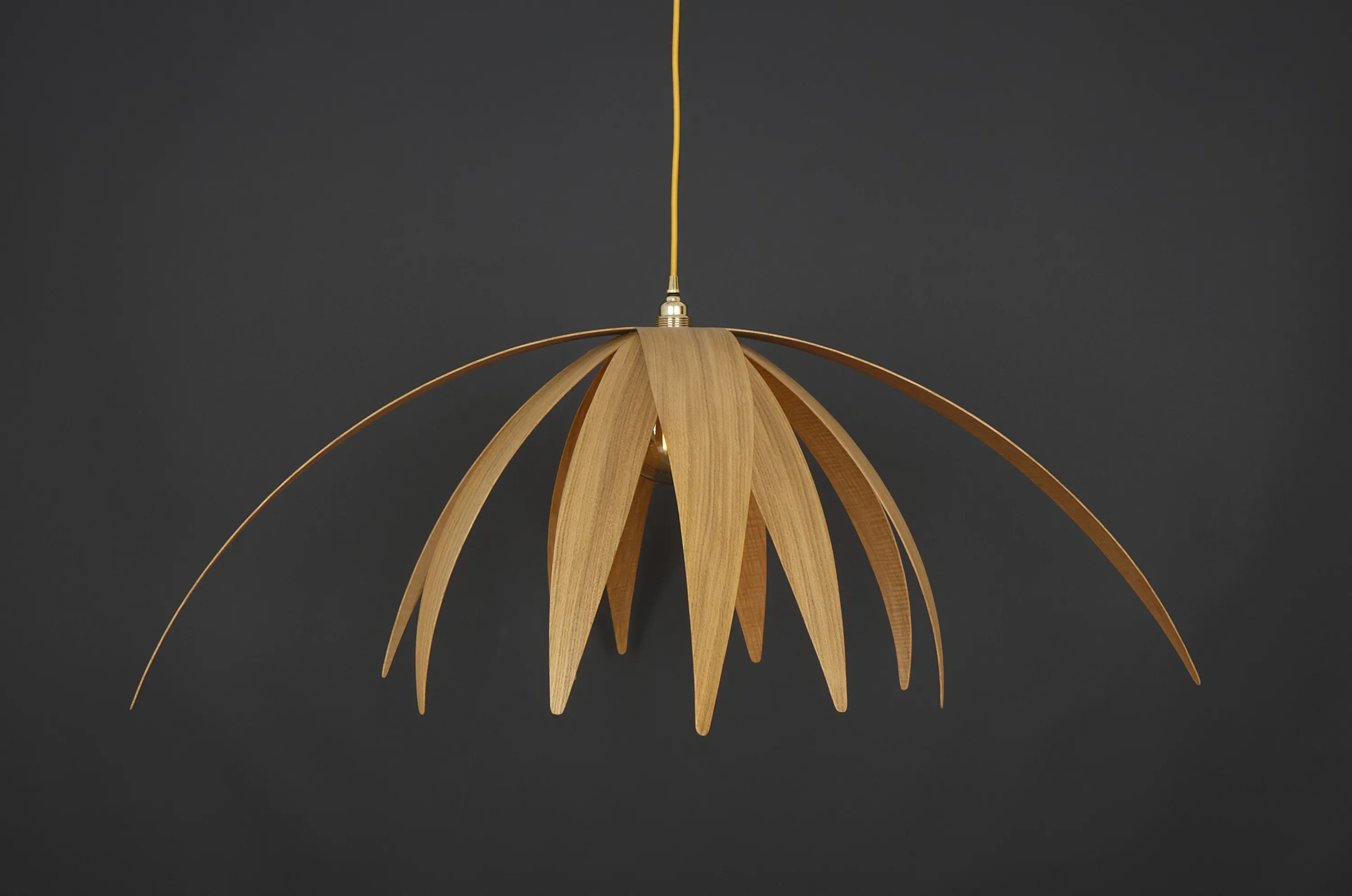 ALAN HORGAN STUDIO - Flos | Ceiling Light - Large