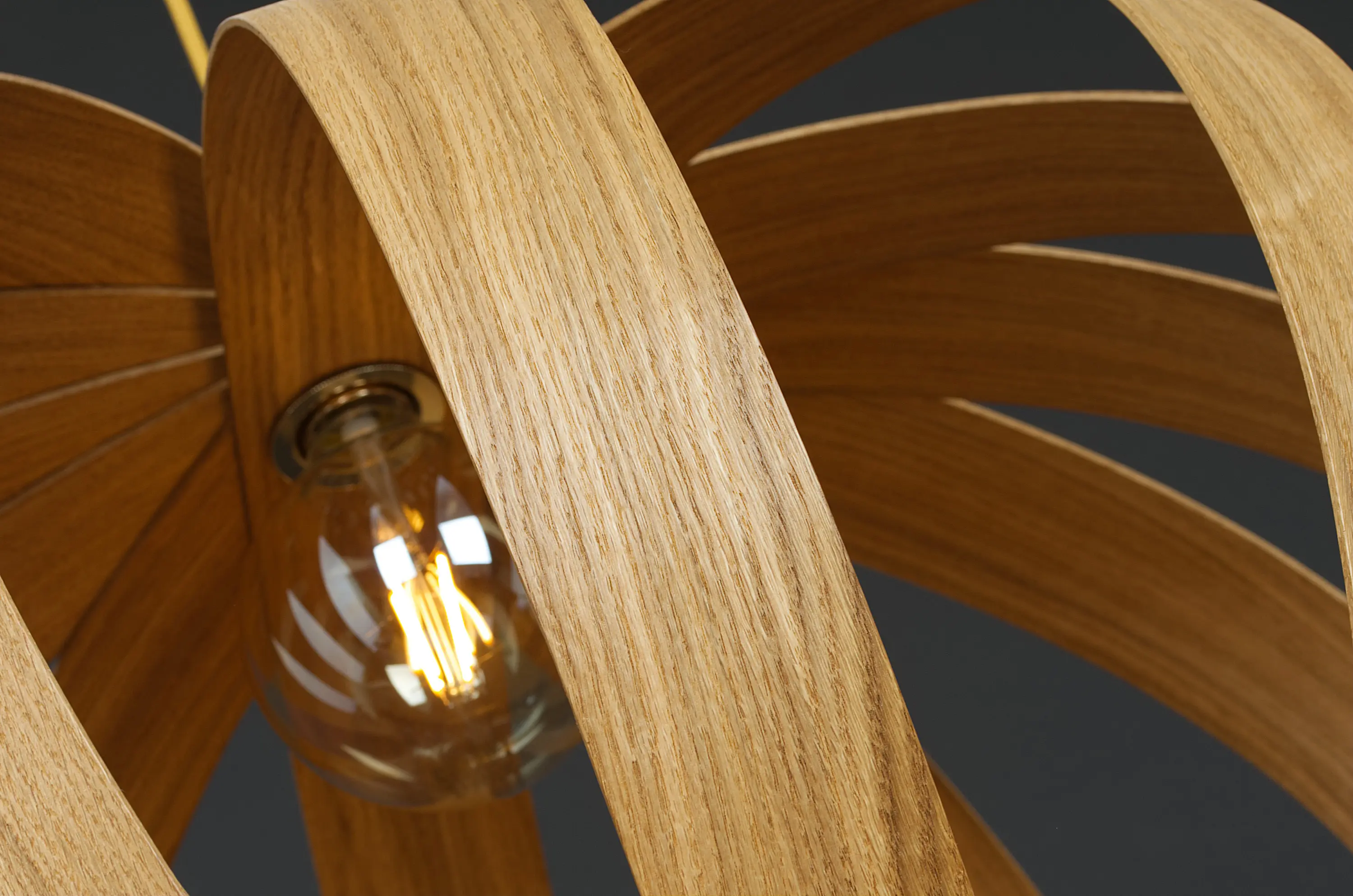 ALAN HORGAN STUDIO - Mare Urchin | Ceiling Light