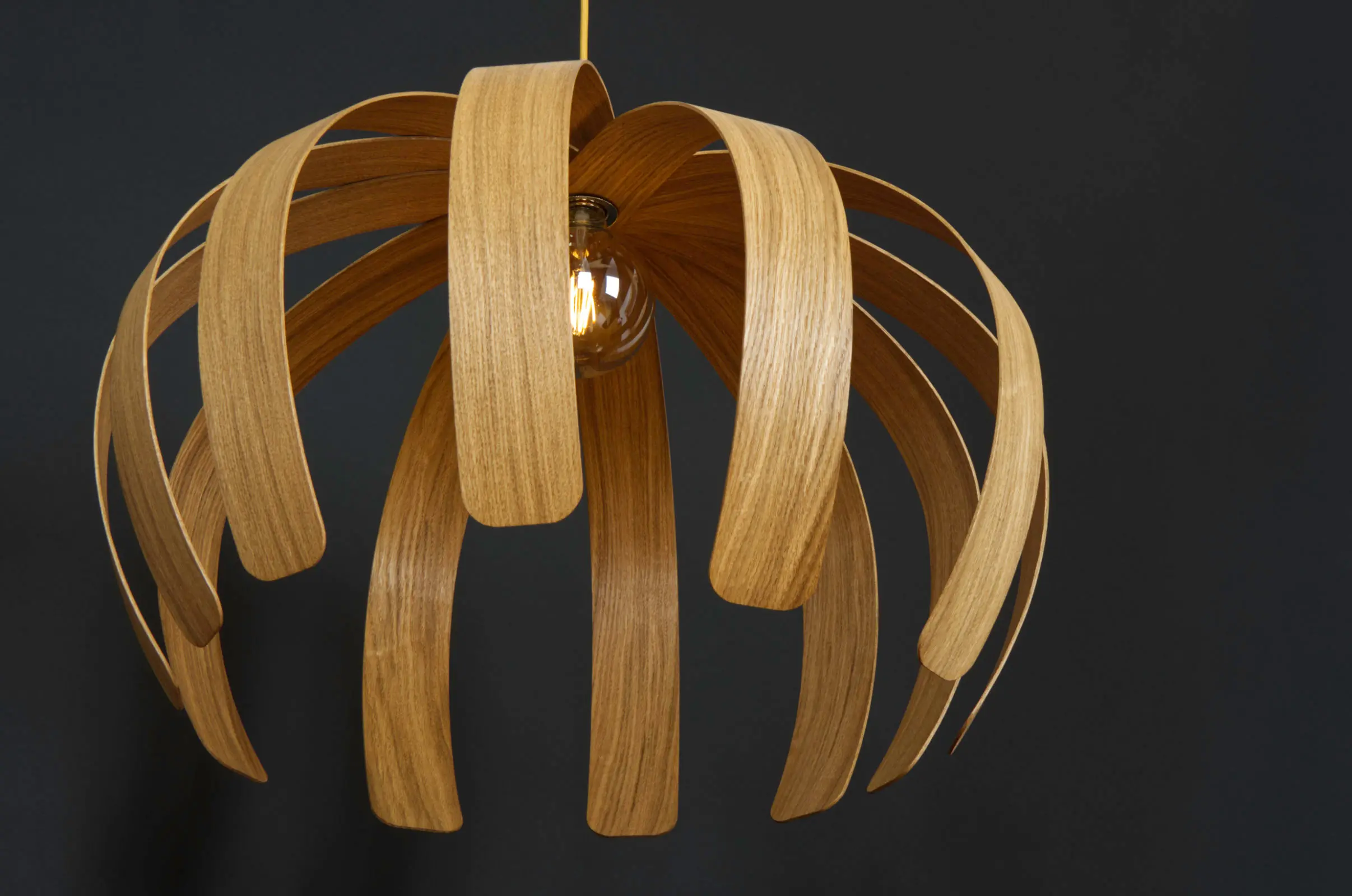 ALAN HORGAN STUDIO - Mare Urchin | Ceiling Light