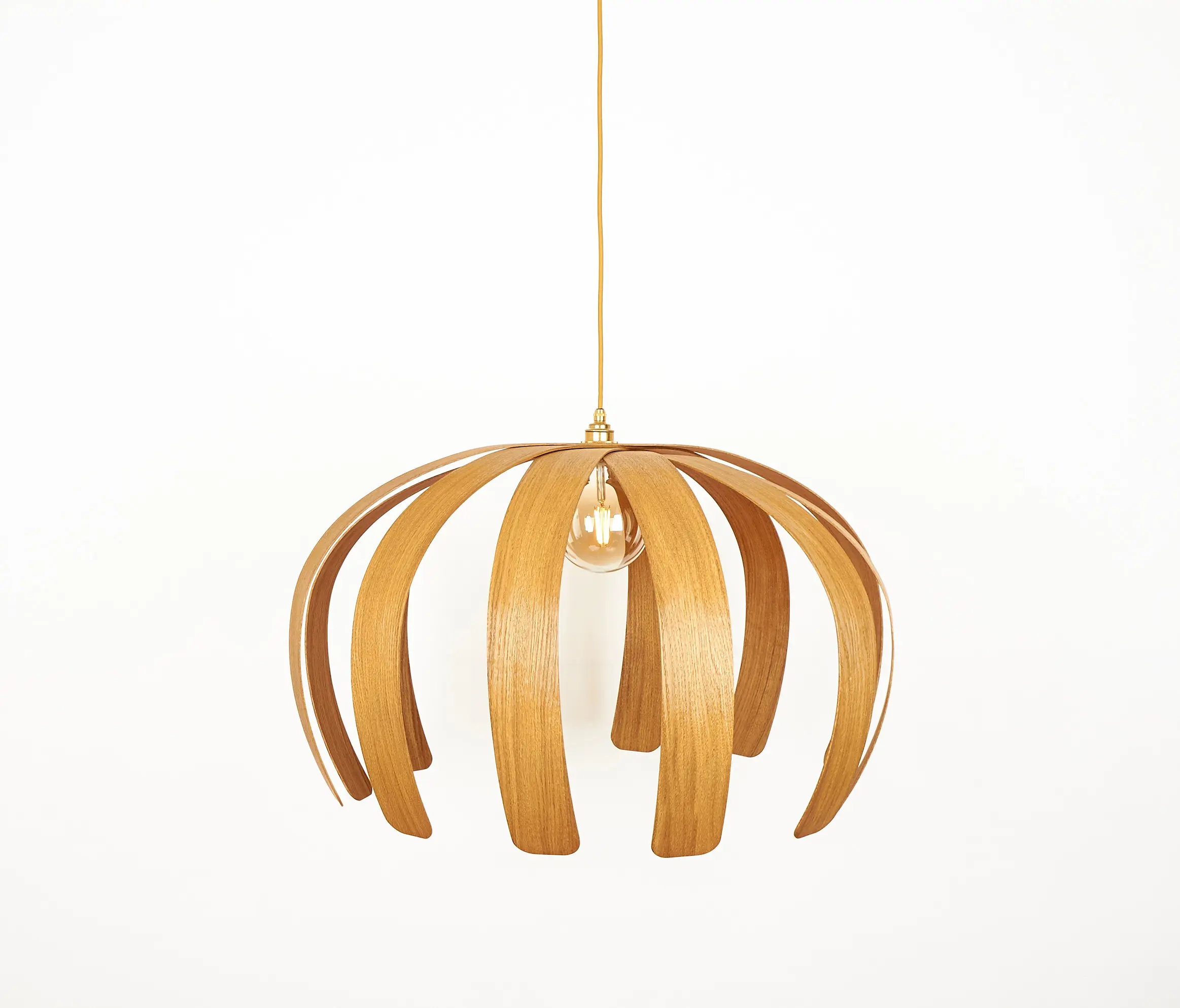 ALAN HORGAN STUDIO - Mare Urchin | Ceiling Light