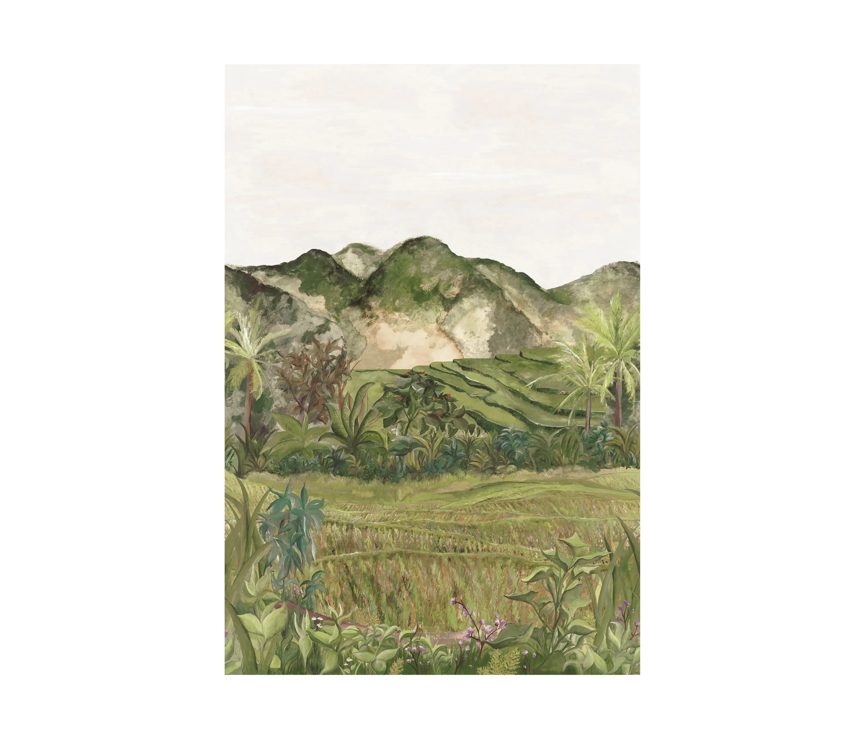 Casamance - HAPAO OLIVE