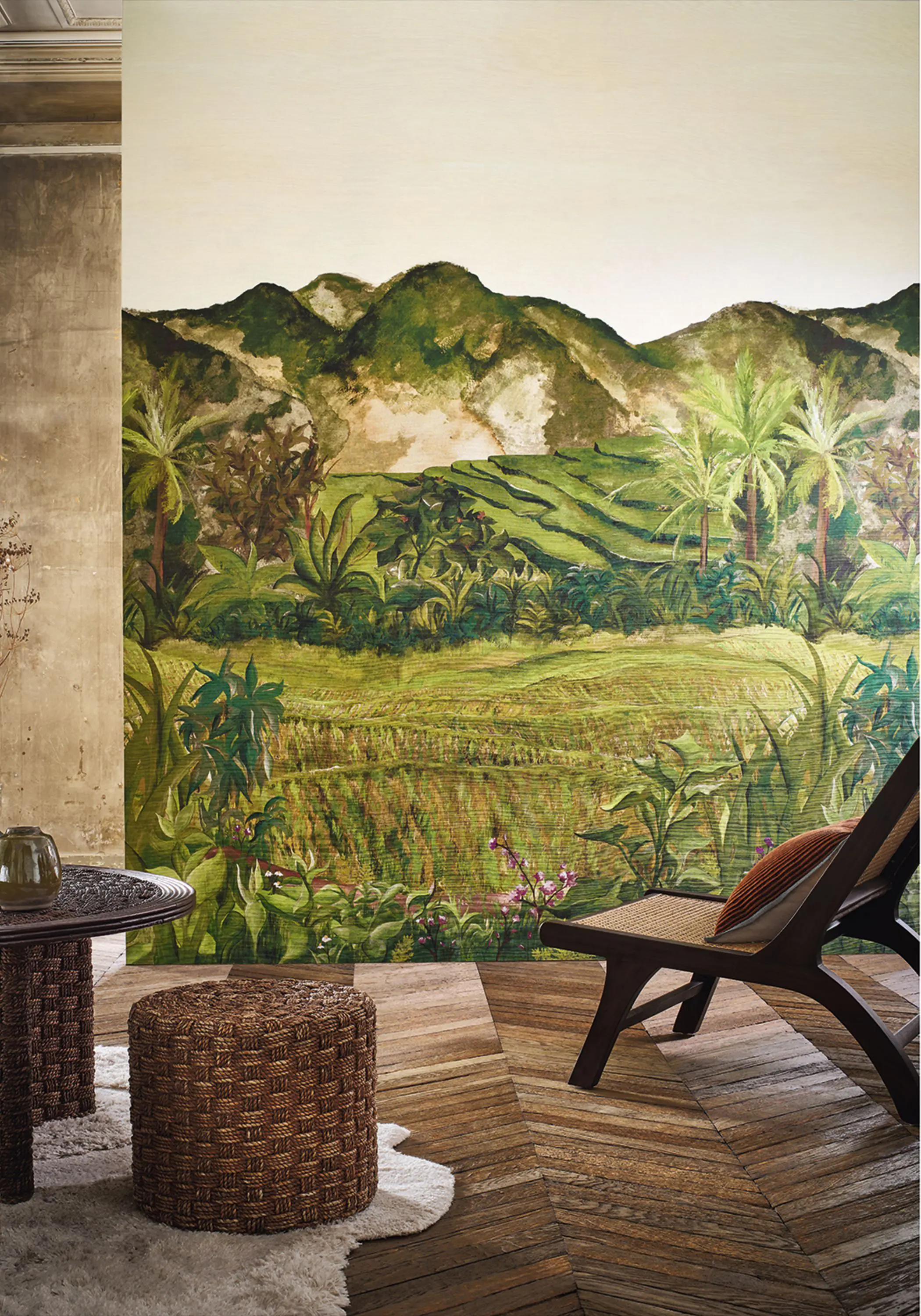 Casamance - HAPAO OLIVE