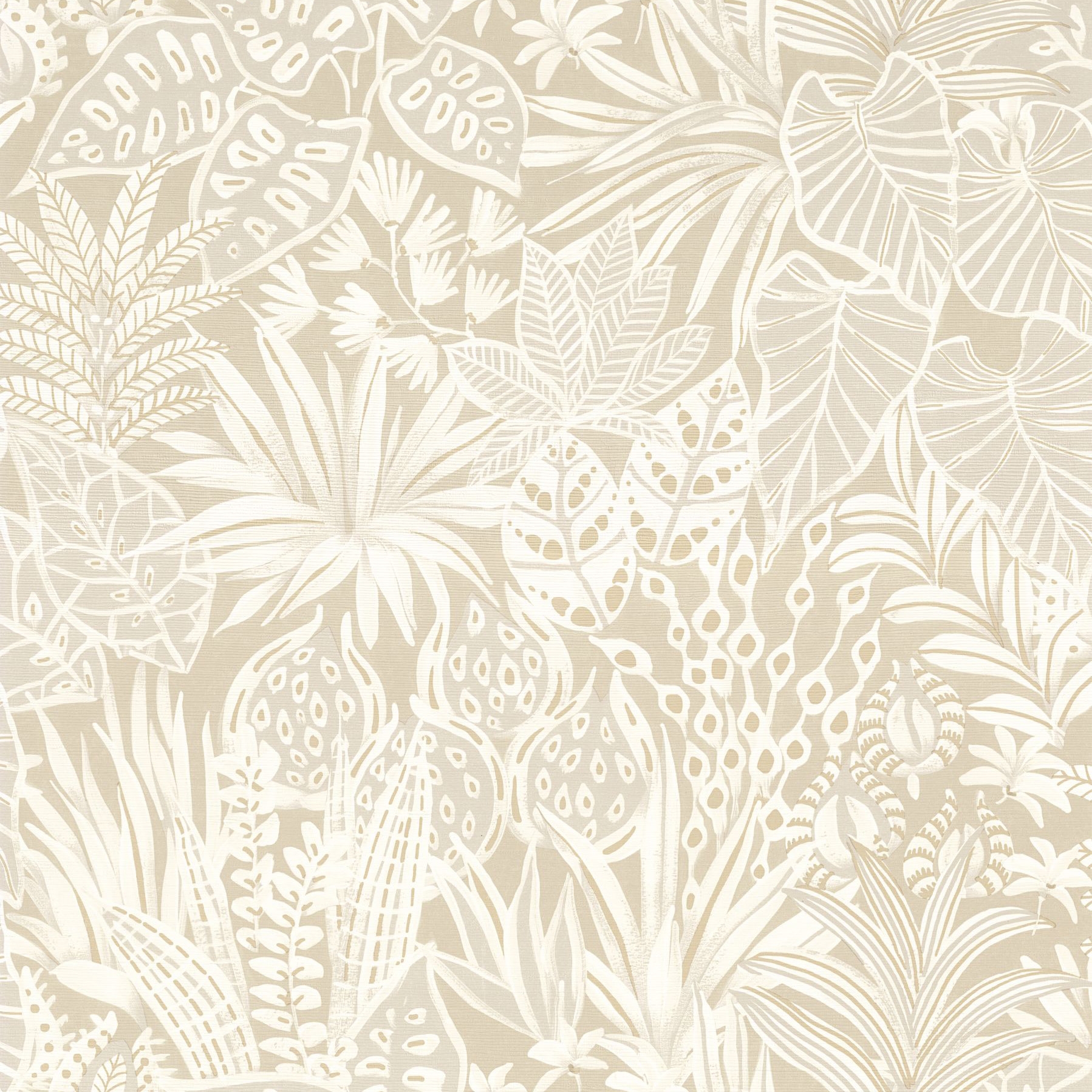 MADHUCA SABLE