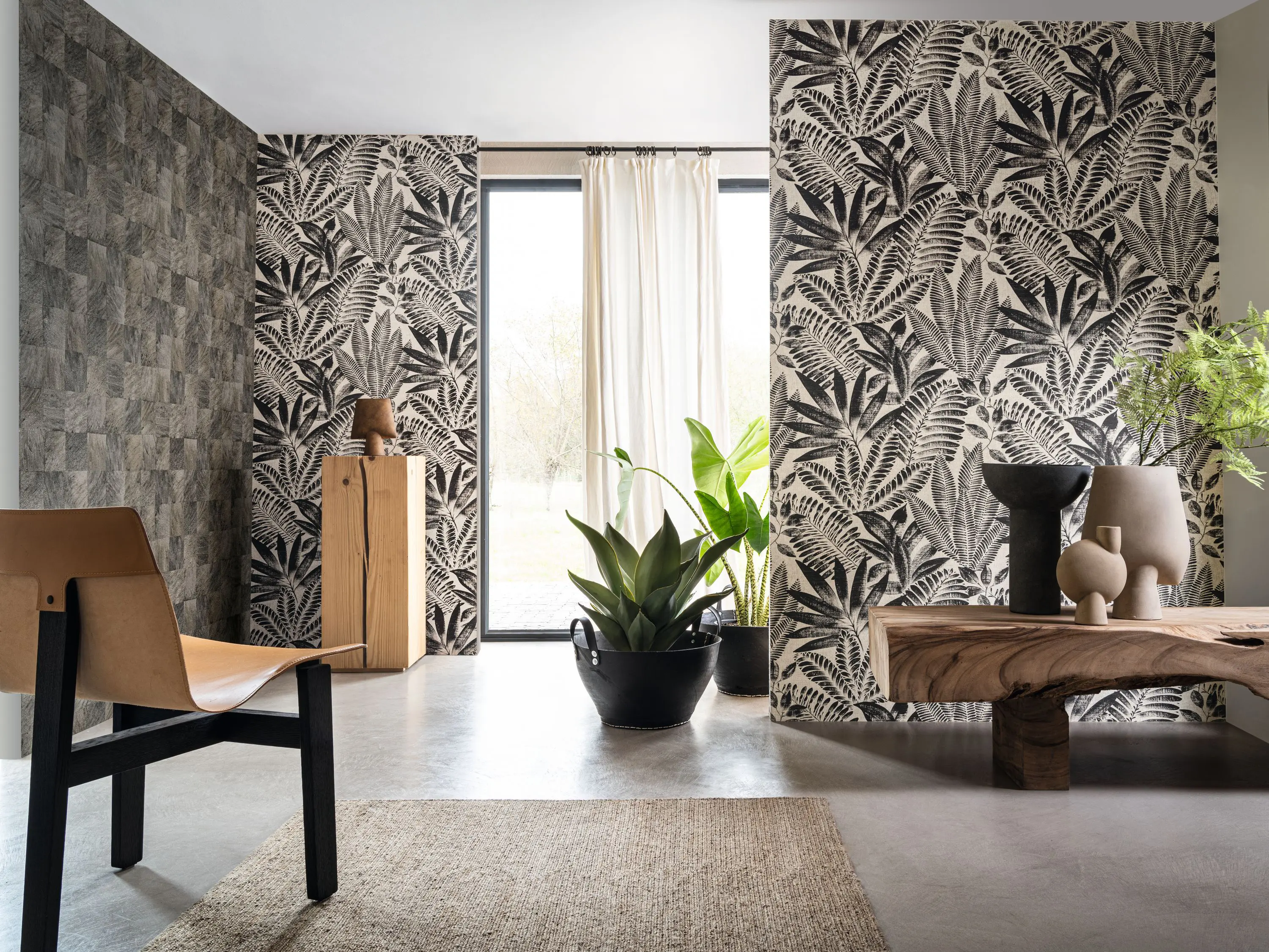 Casamance - ABALE NOIR