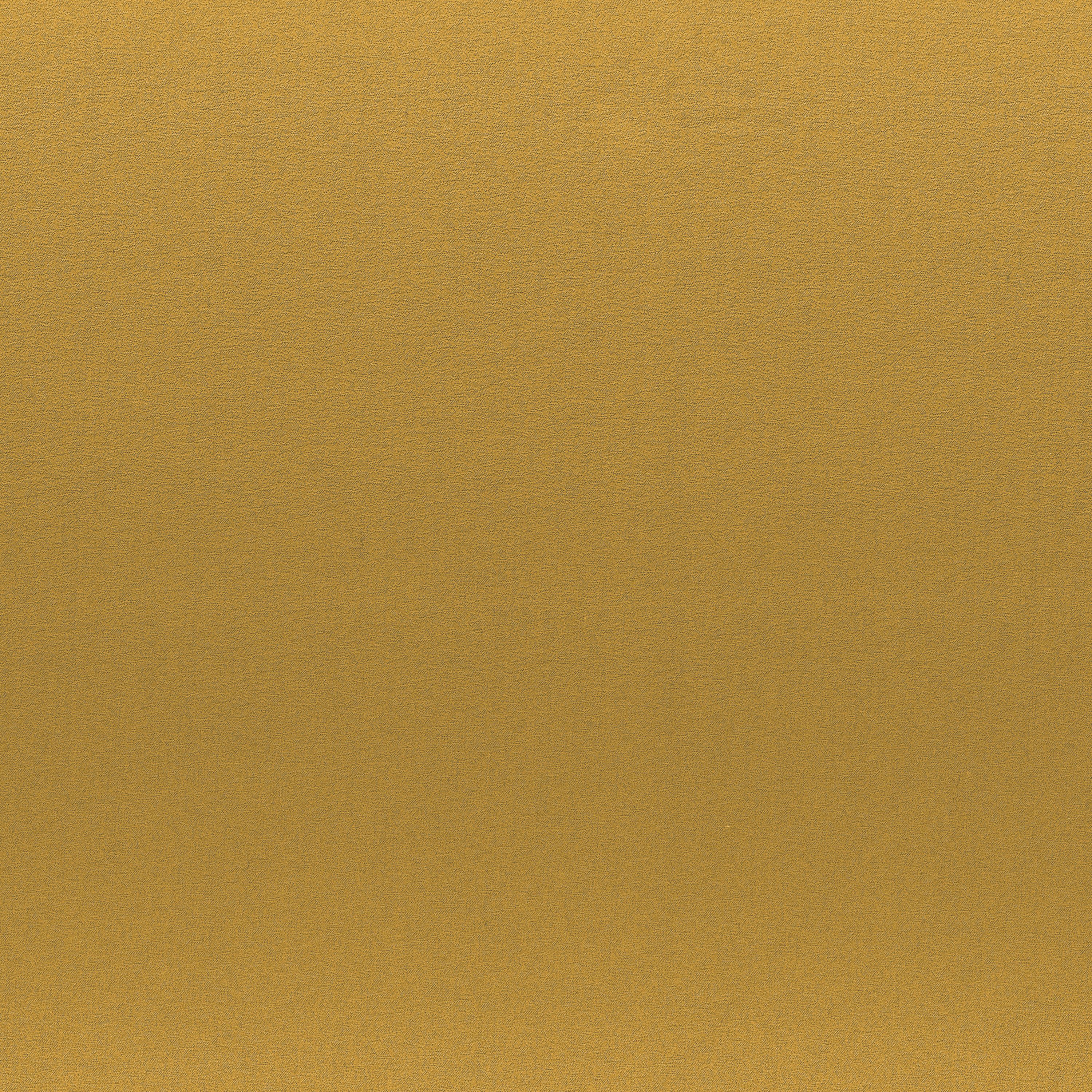 BROOKS JAUNE INDIEN