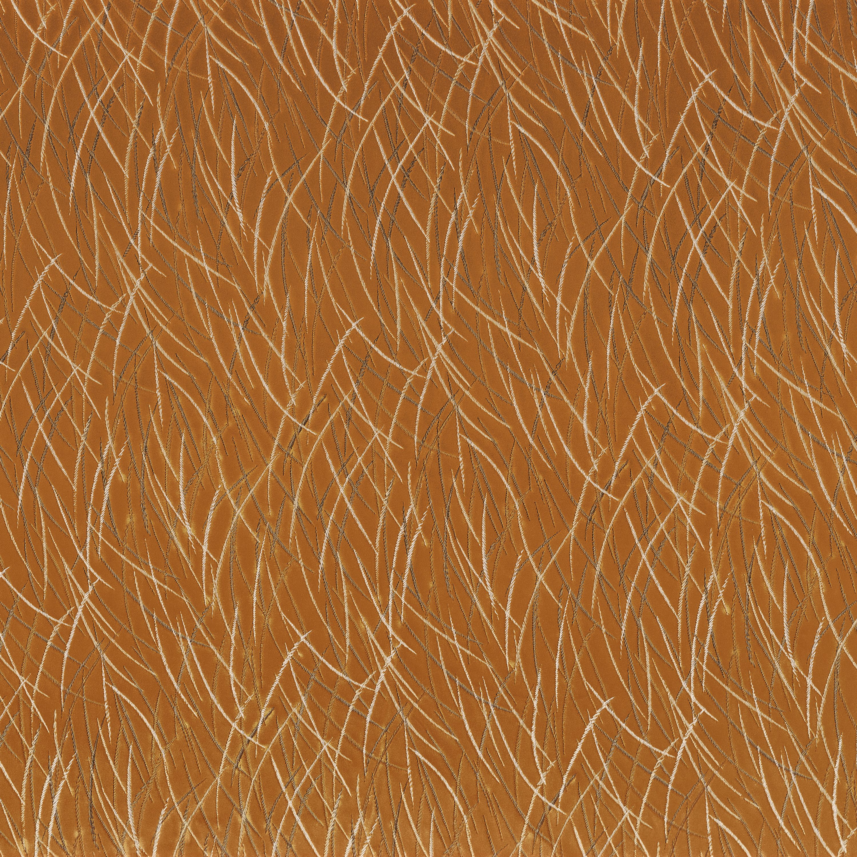 EUPHORBE AMBRE