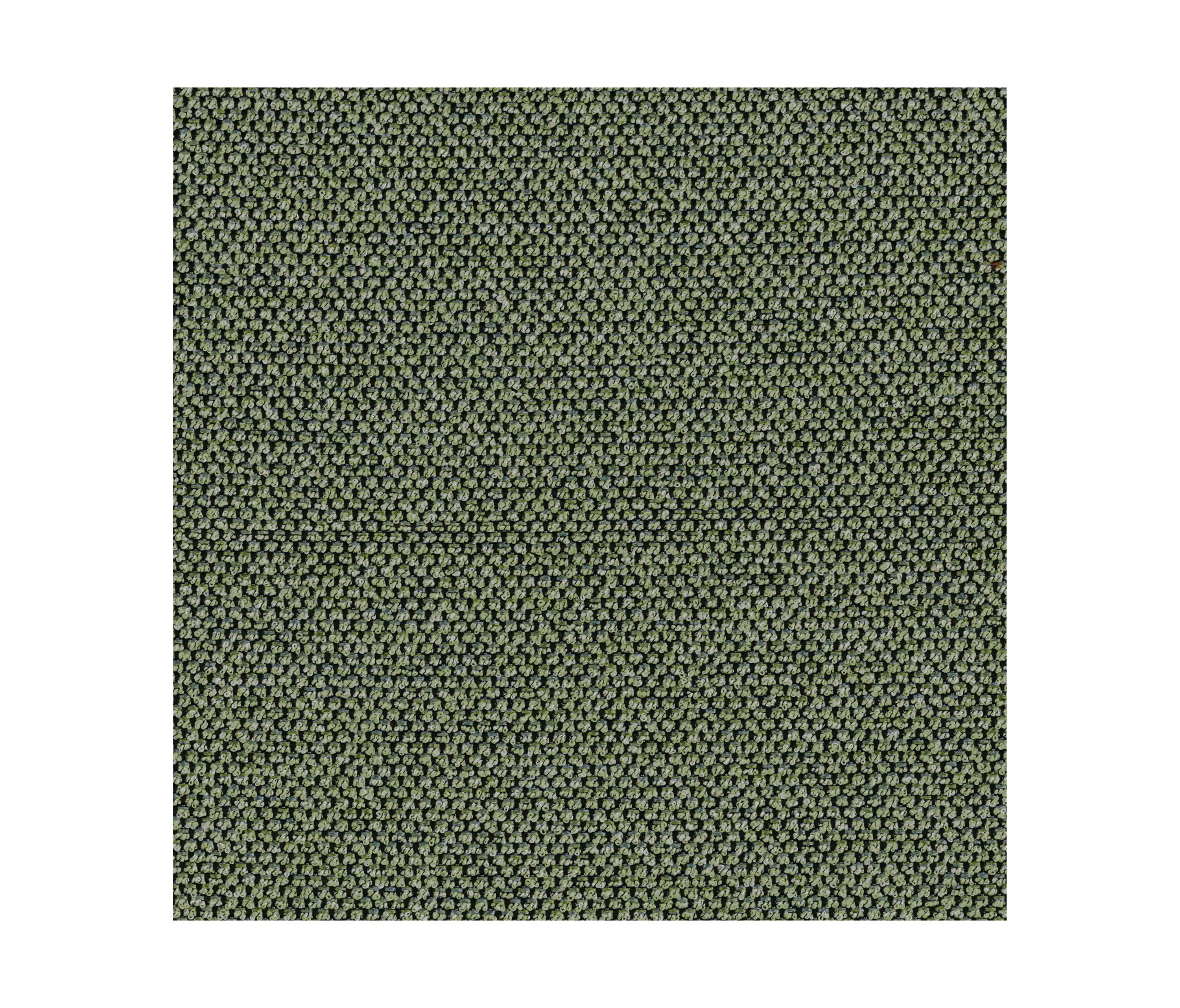 Casamance - PAVLOS VERT MOUSSE