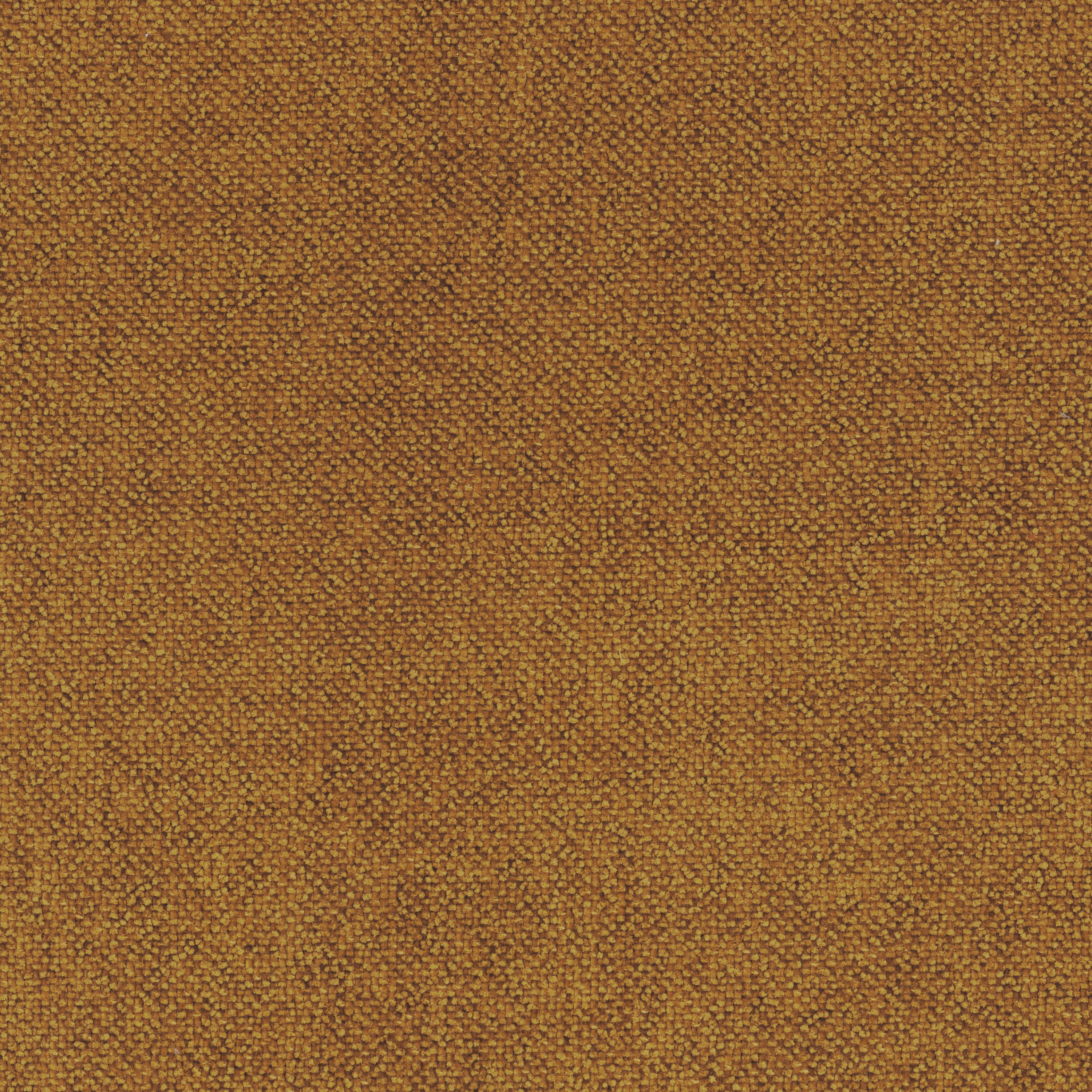 SOCOA AMBRE