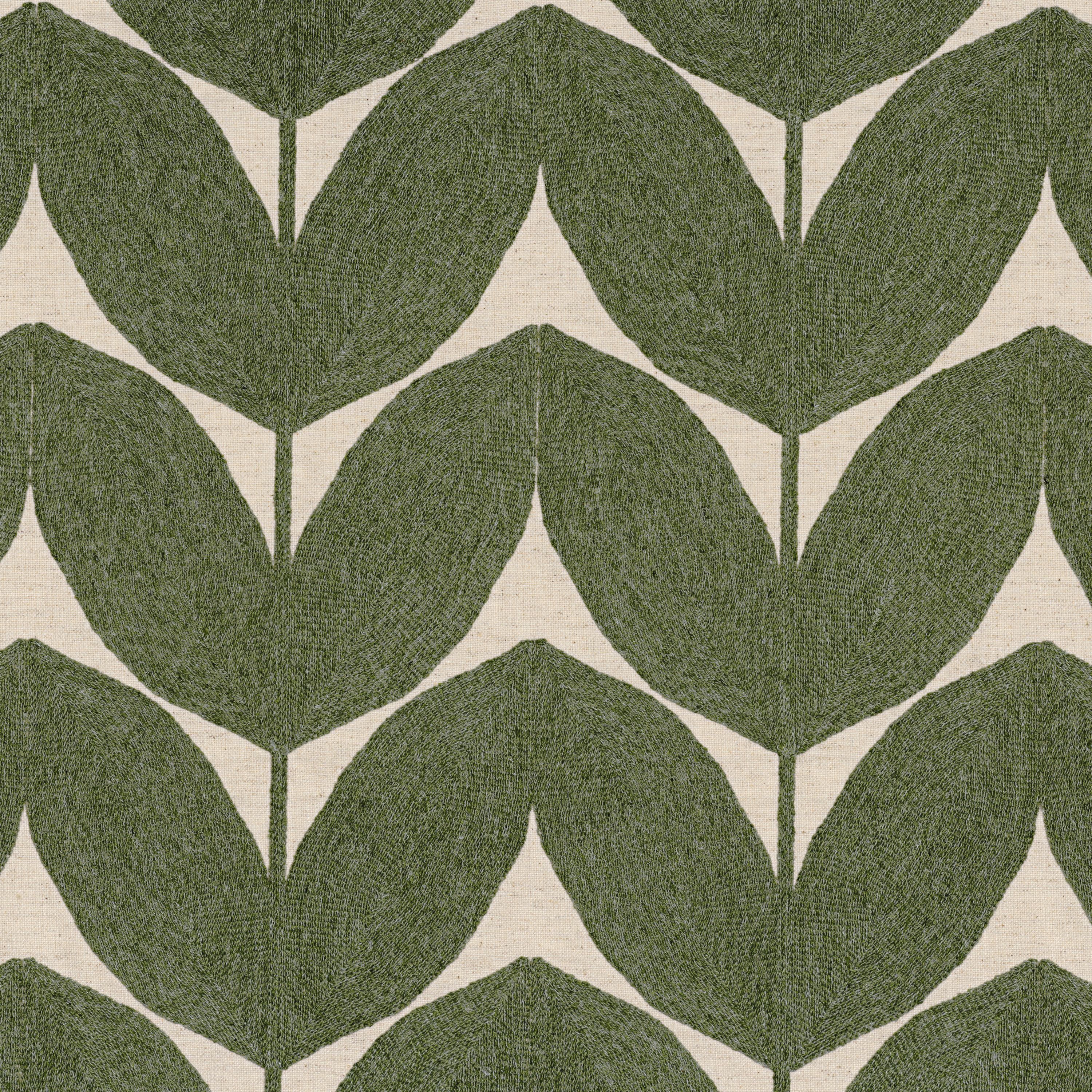 HERBES FOLLES OLIVE