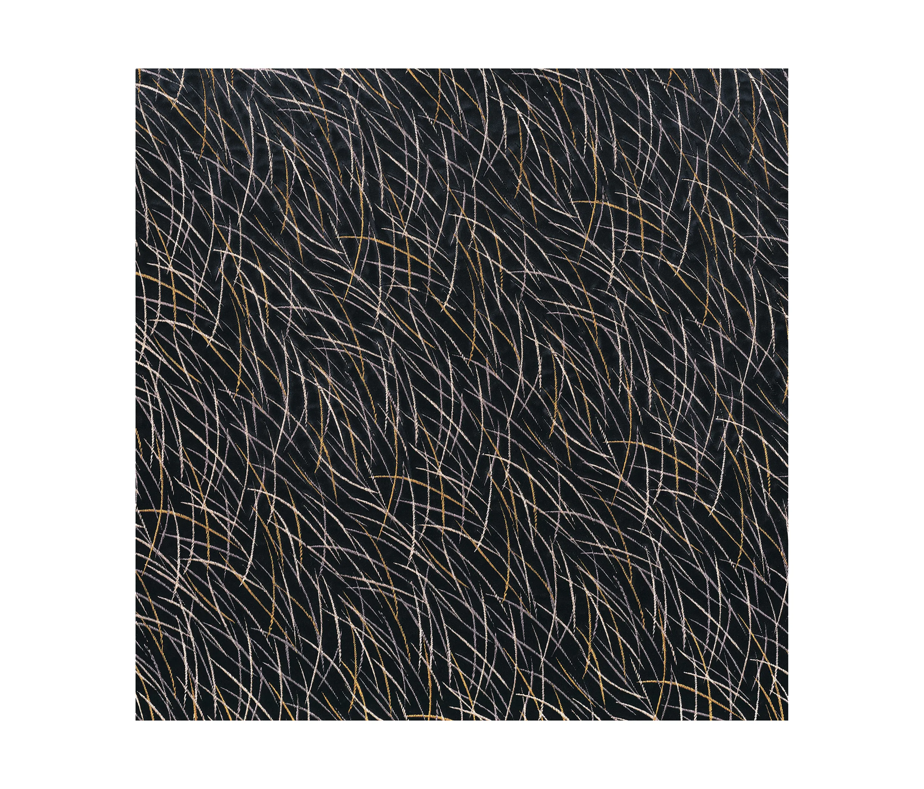 Casamance - EUPHORBE NOIR