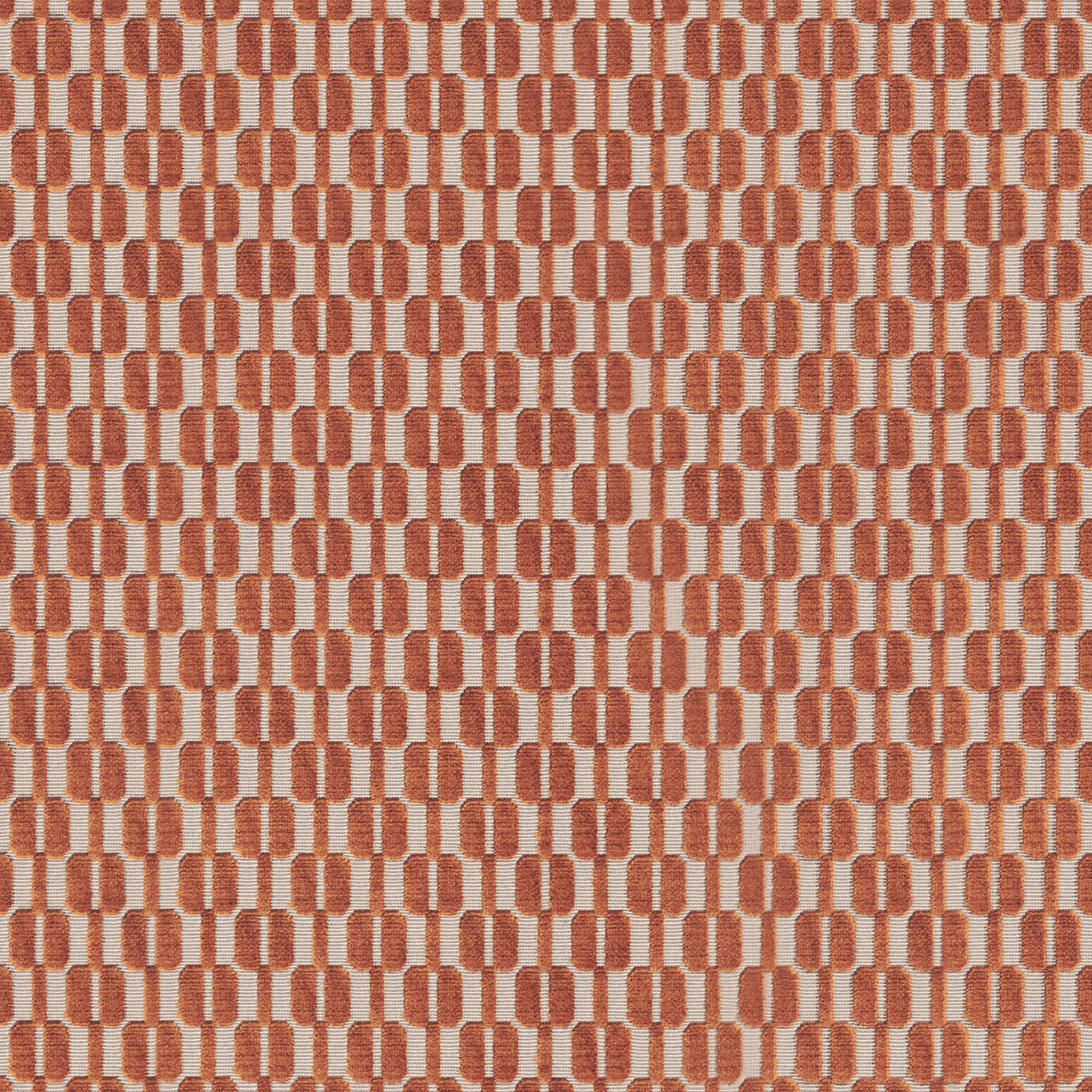 INSEPARABLES ORANGE