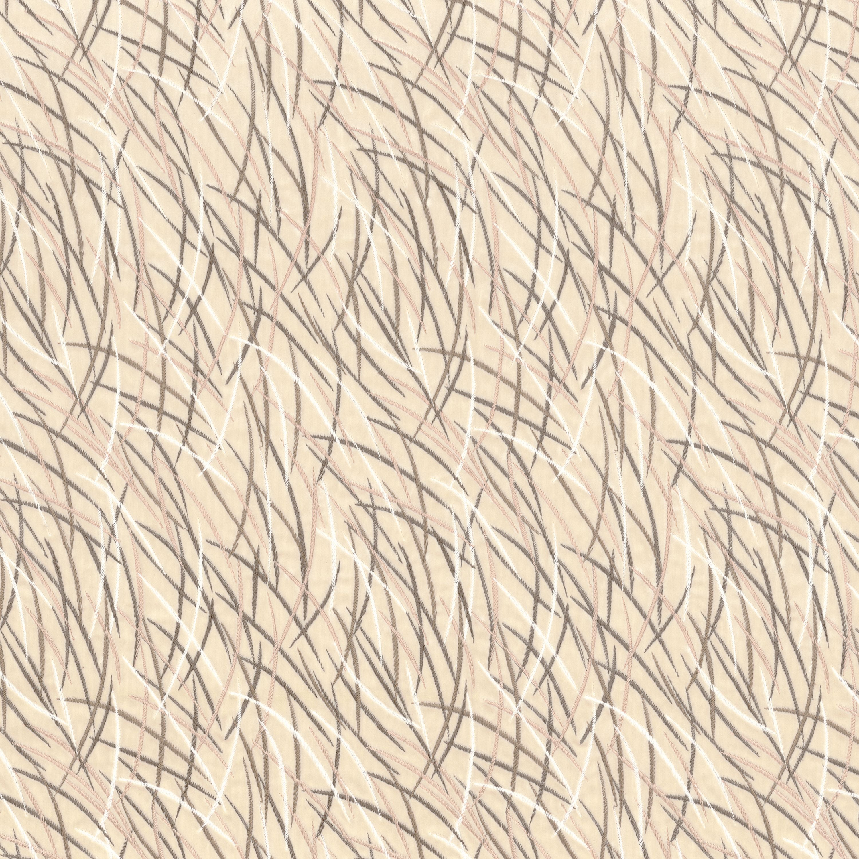EUPHORBE CREME