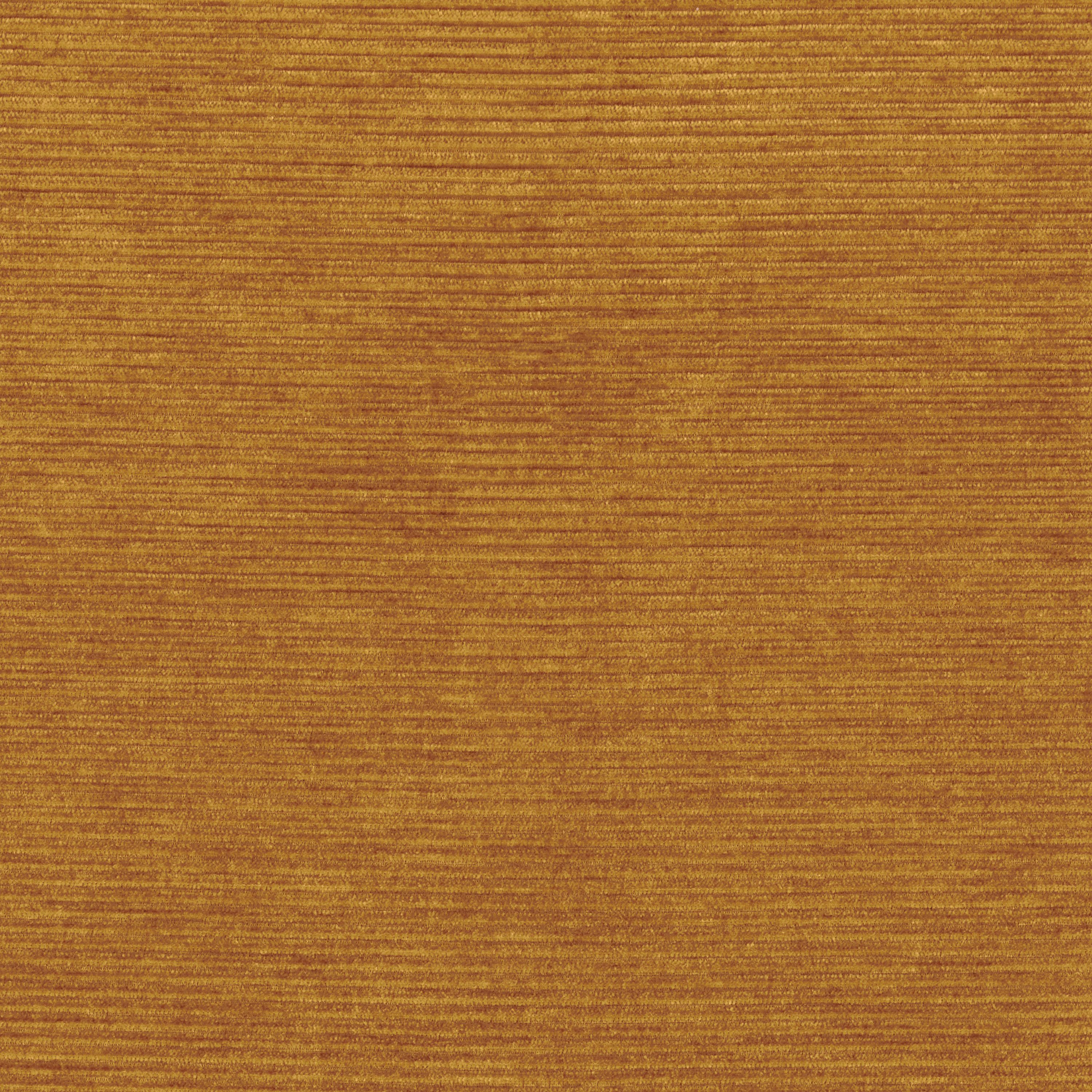 FERVEUR AMBRE
