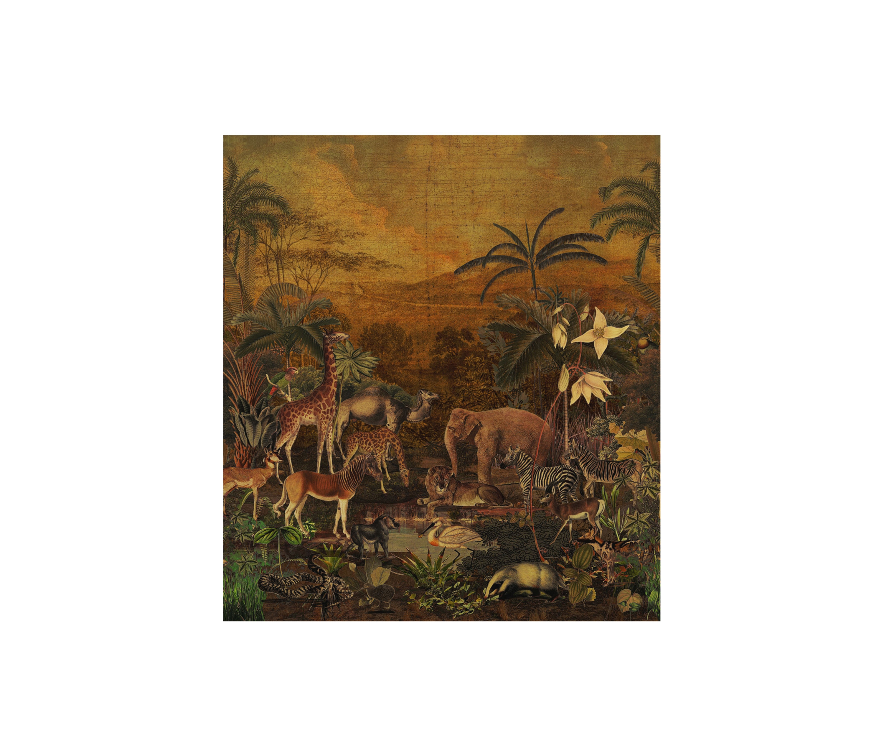 Display product TANZANIA FAUVE from manufacturer Casamance