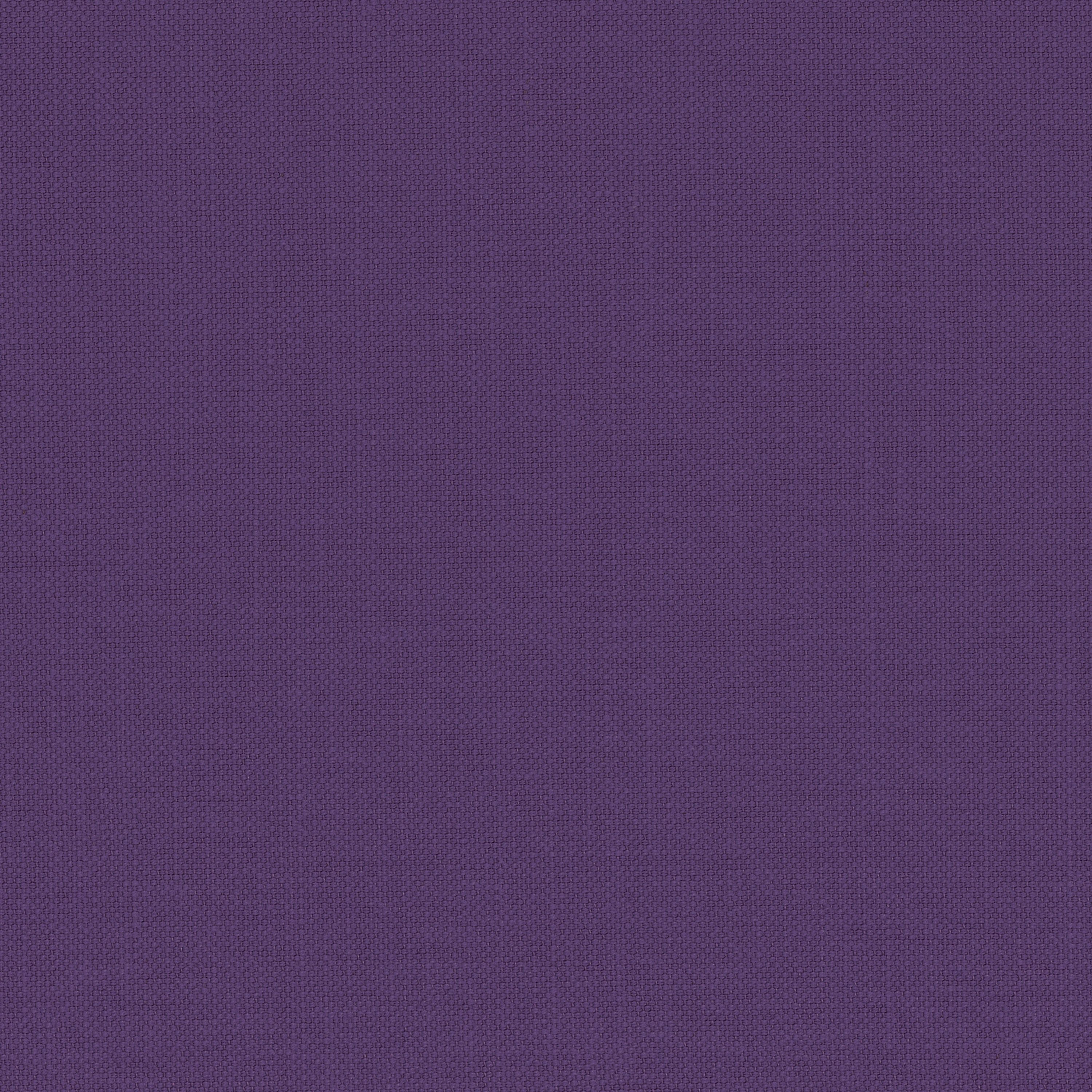 Paris Texas ULTRA VIOLET