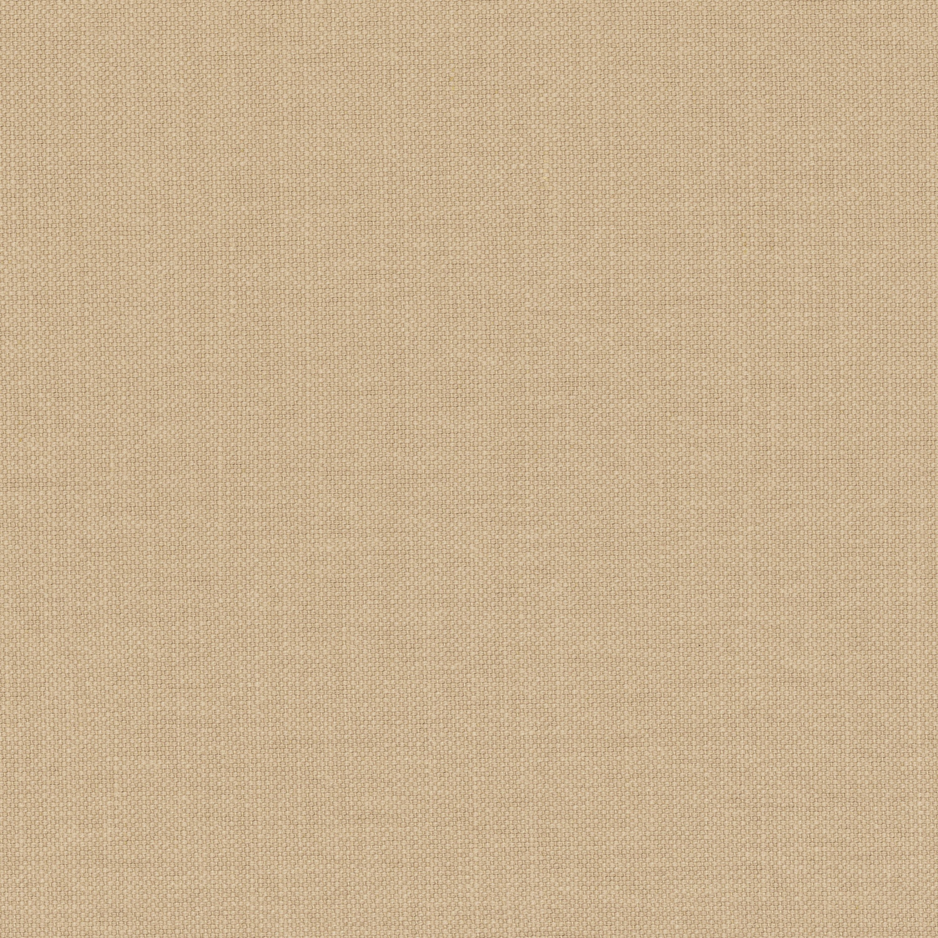 Paris Texas PRALINE