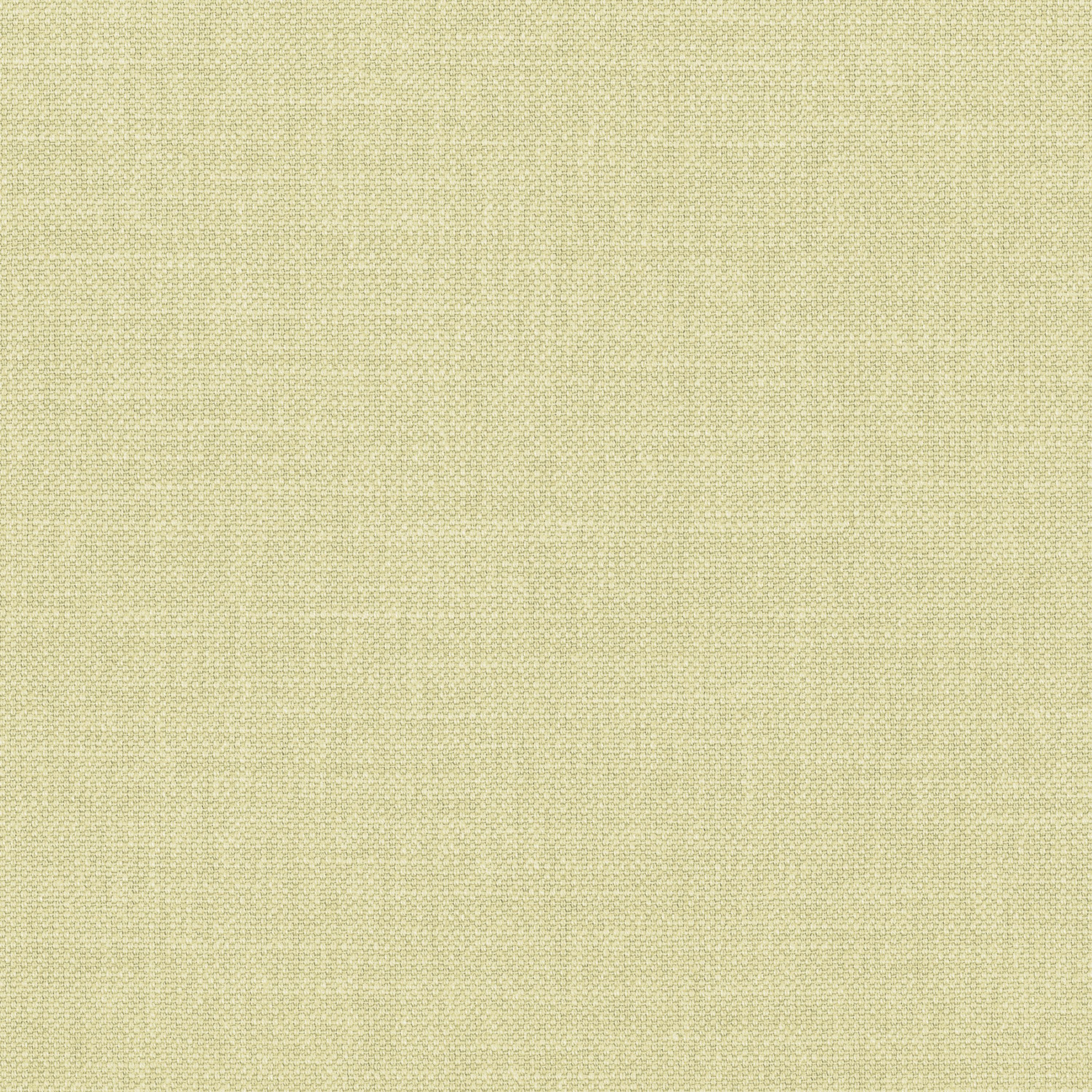 Produkt Paris Texas LICHEN CLAIR des Herstellers Casamance anzeigen