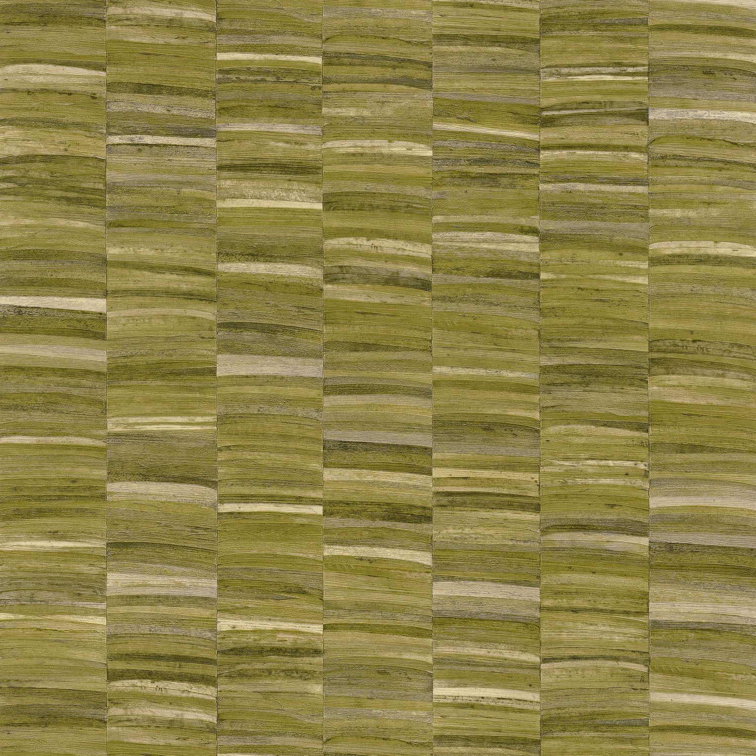 STYLOSA OLIVE
