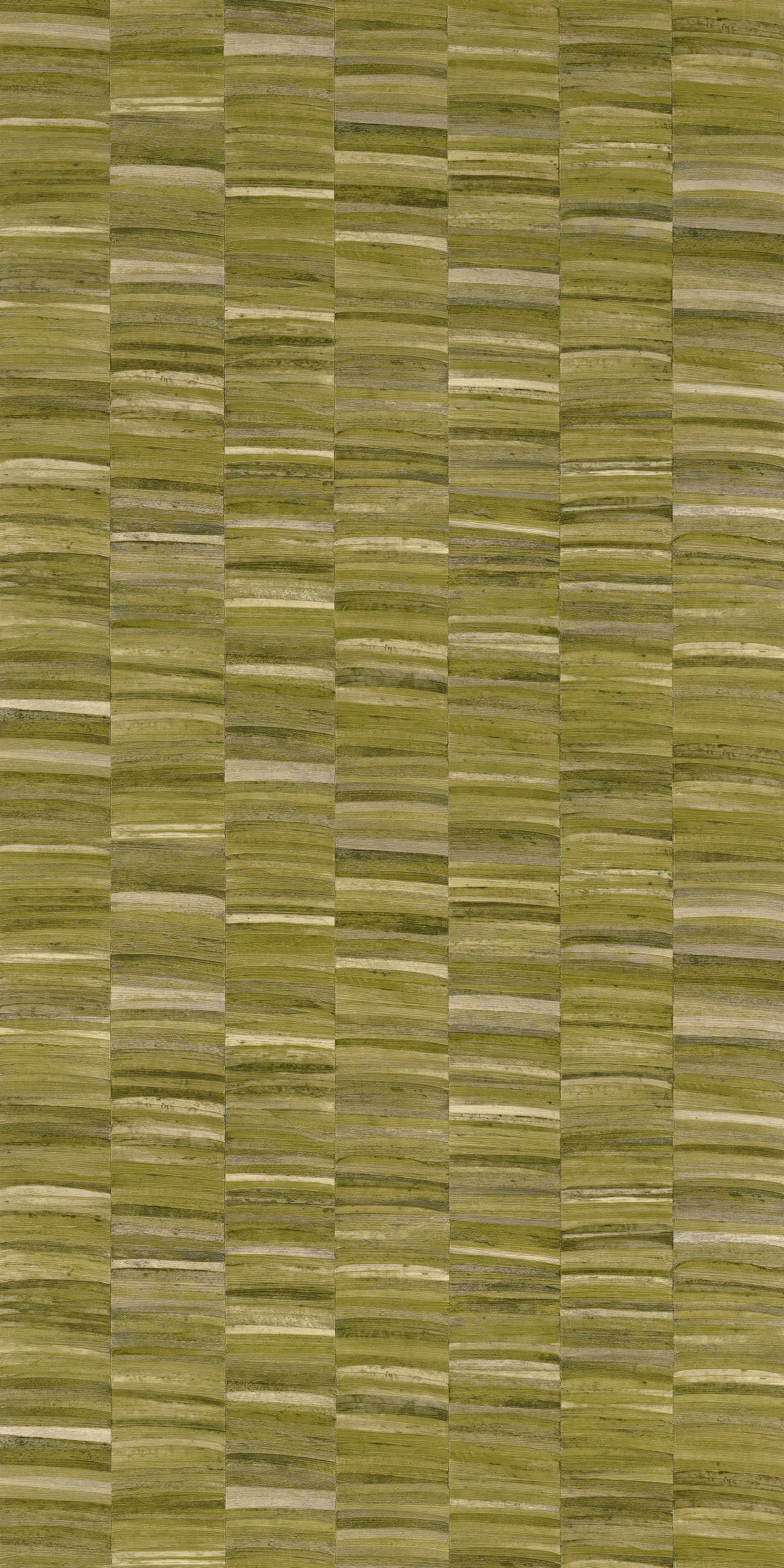 Casamance - STYLOSA OLIVE