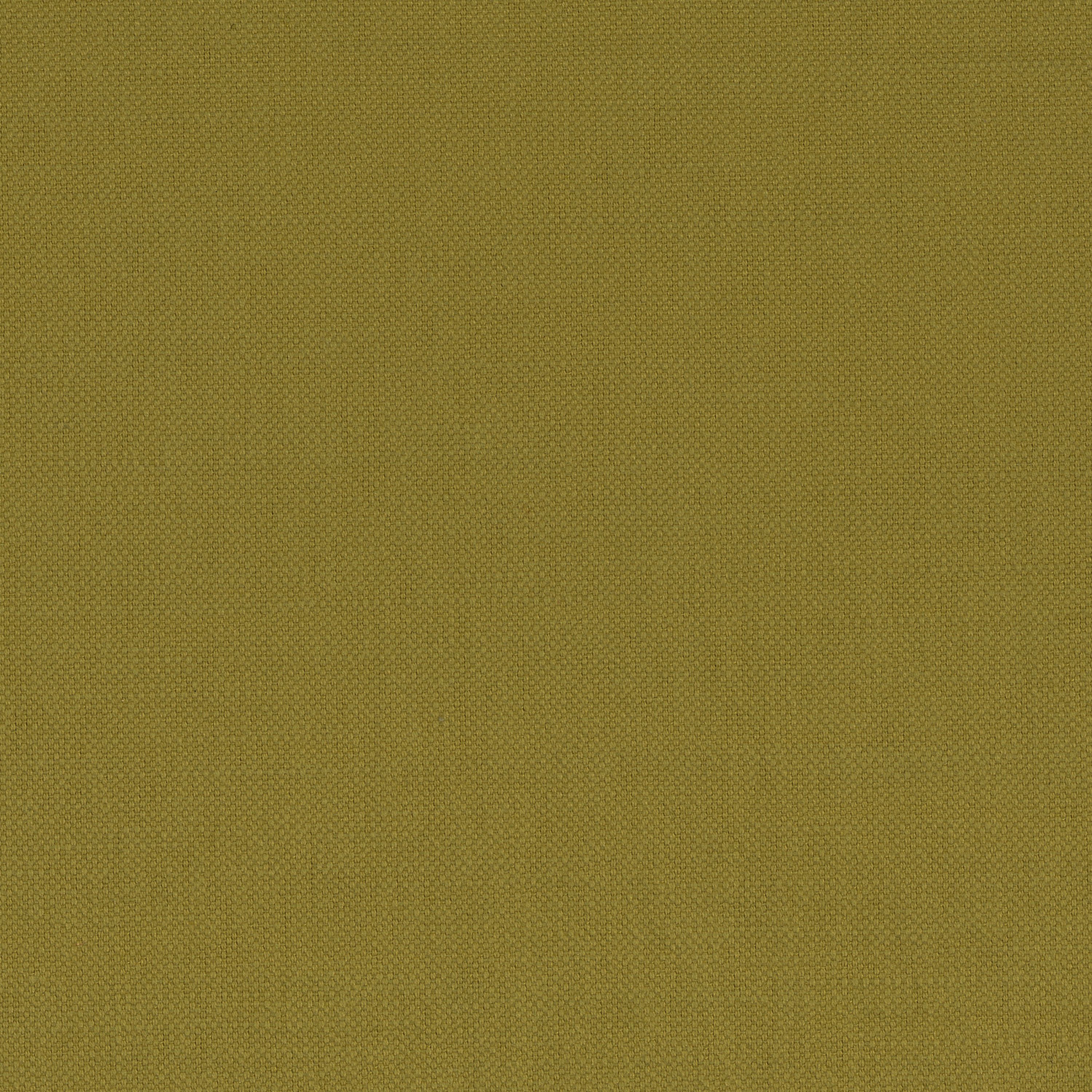 Paris Texas 4 OLIVE