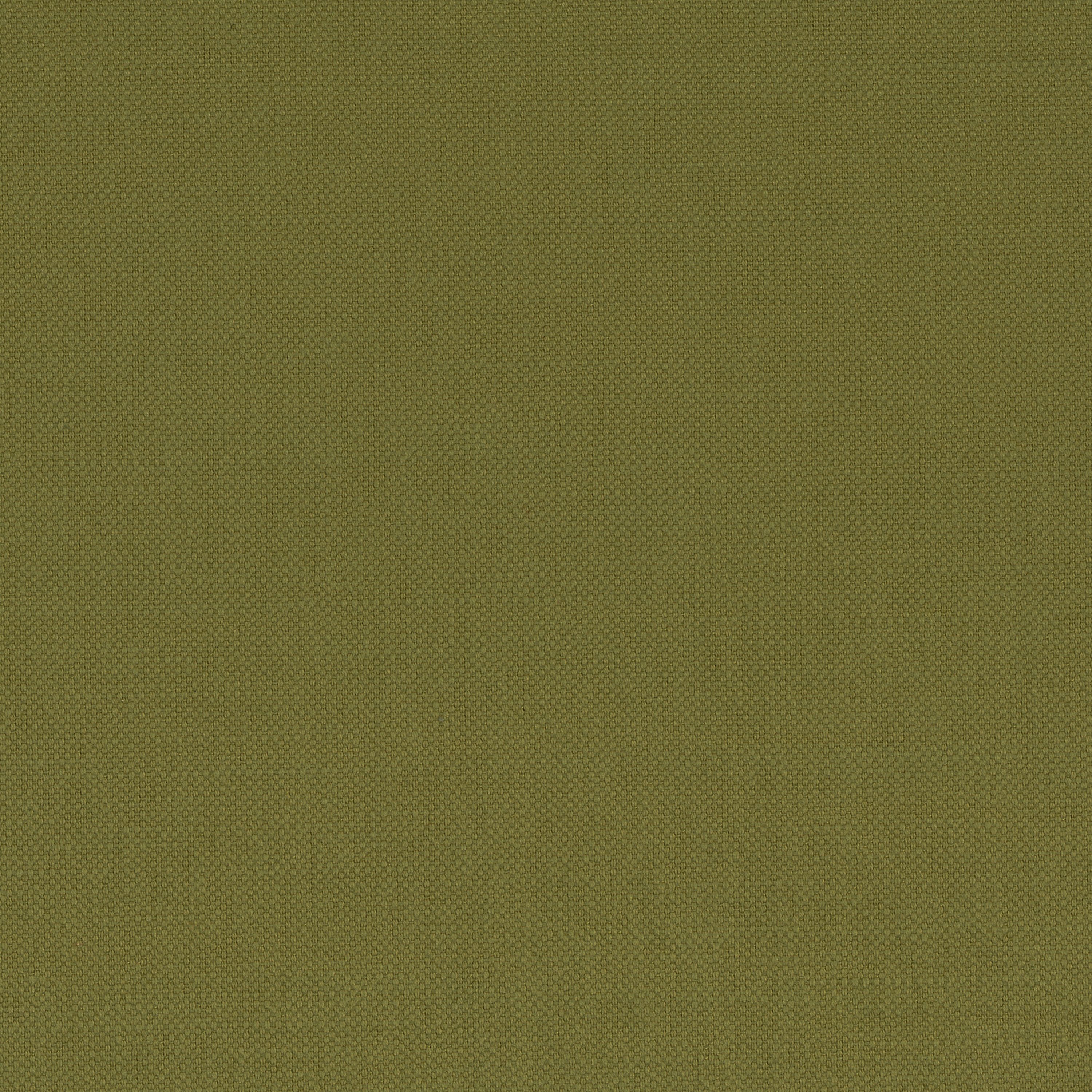 Mostra il prodotto Paris Texas VERT MOUSSE del produttore Casamance