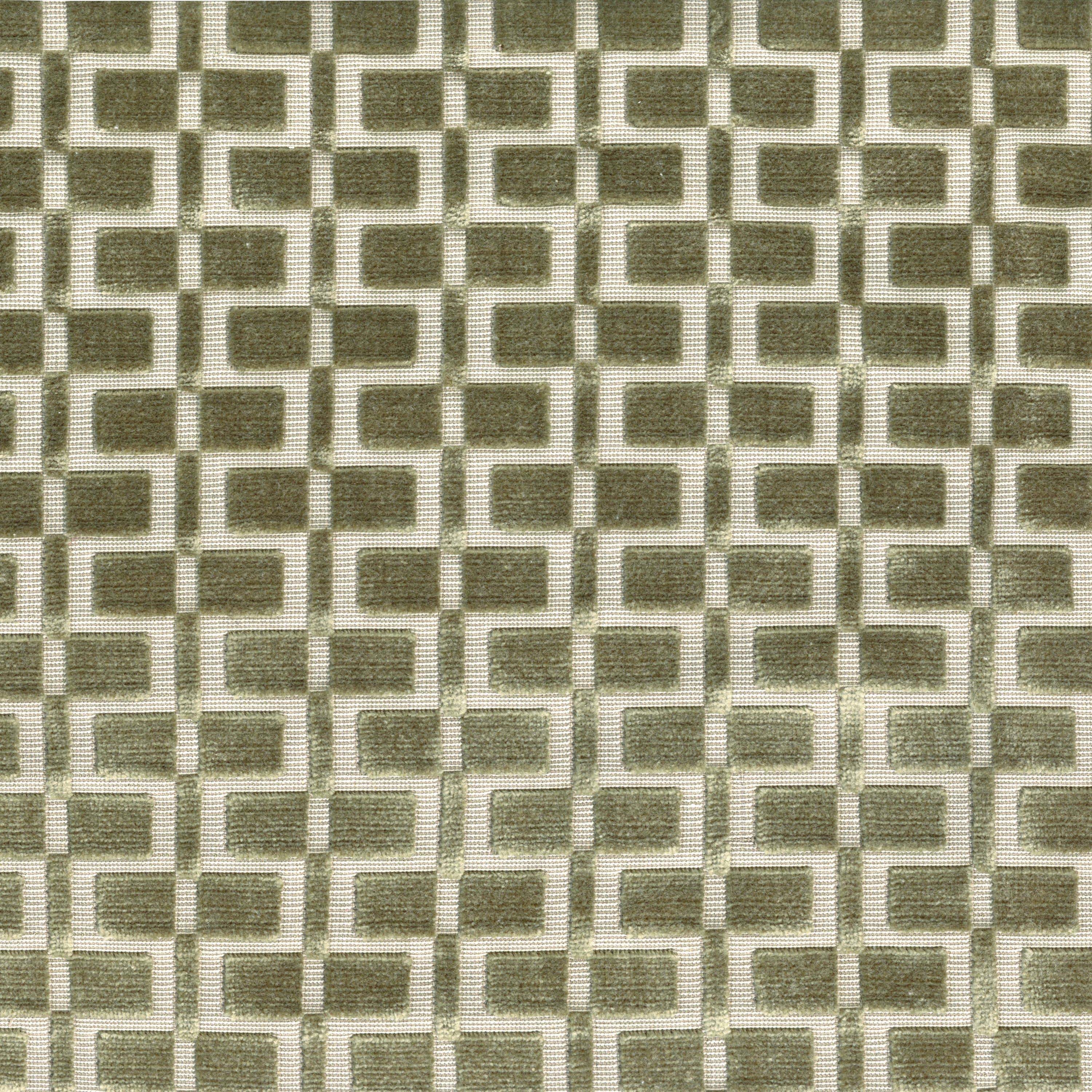 ANALOGIE KAKI