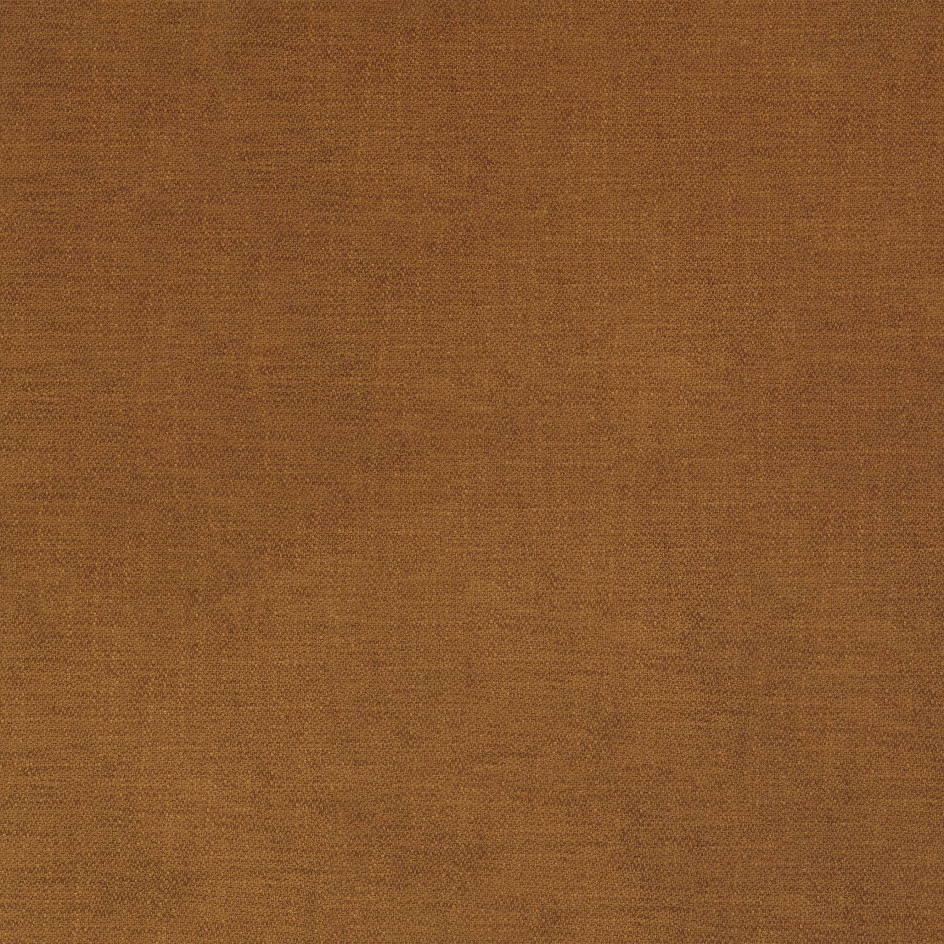 COSMO CAMEL